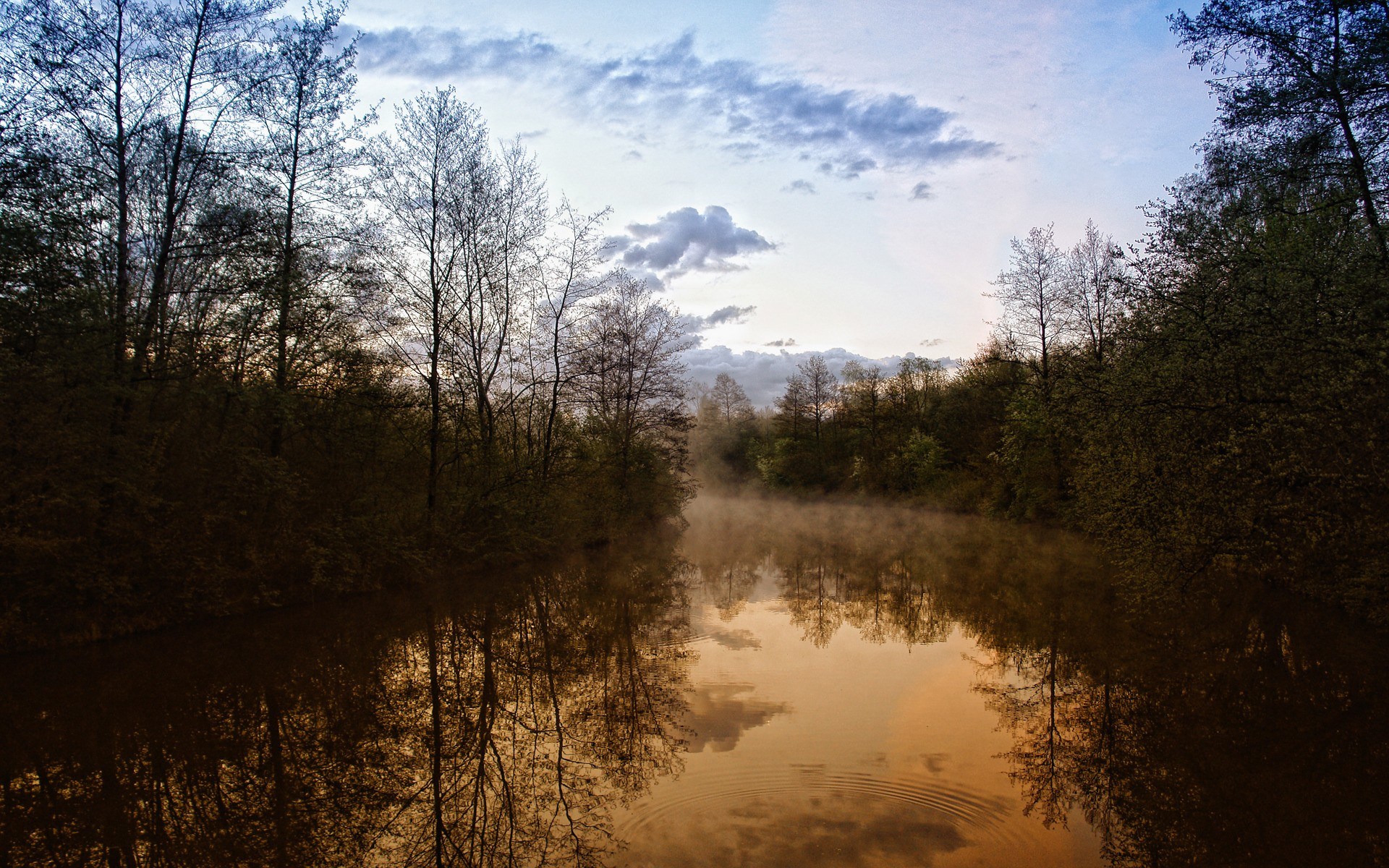Misty river surrounded by trees at sunrise HD Wallpaper