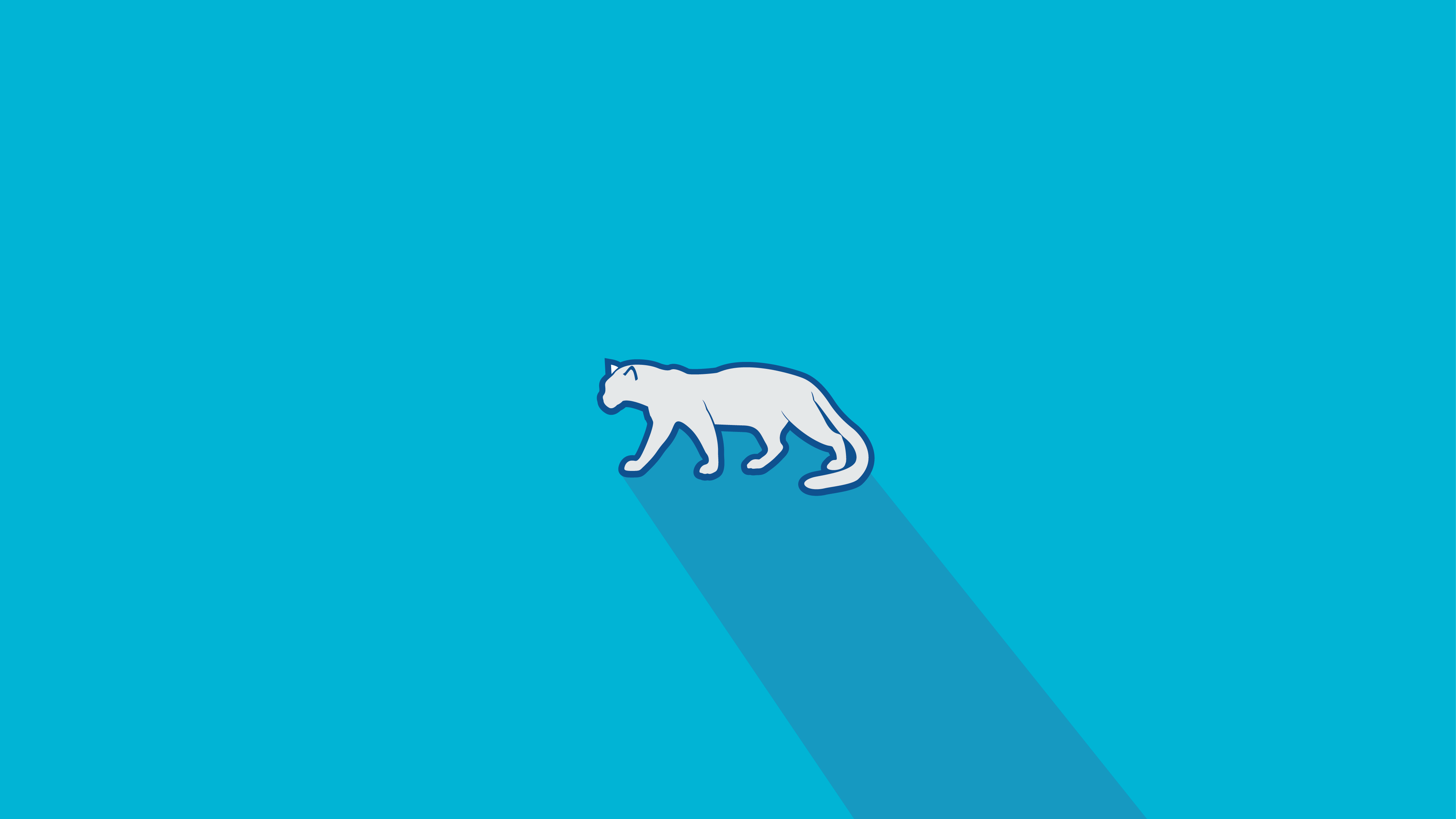 Minimalist white cougar with long shadow on cyan background HD Wallpaper