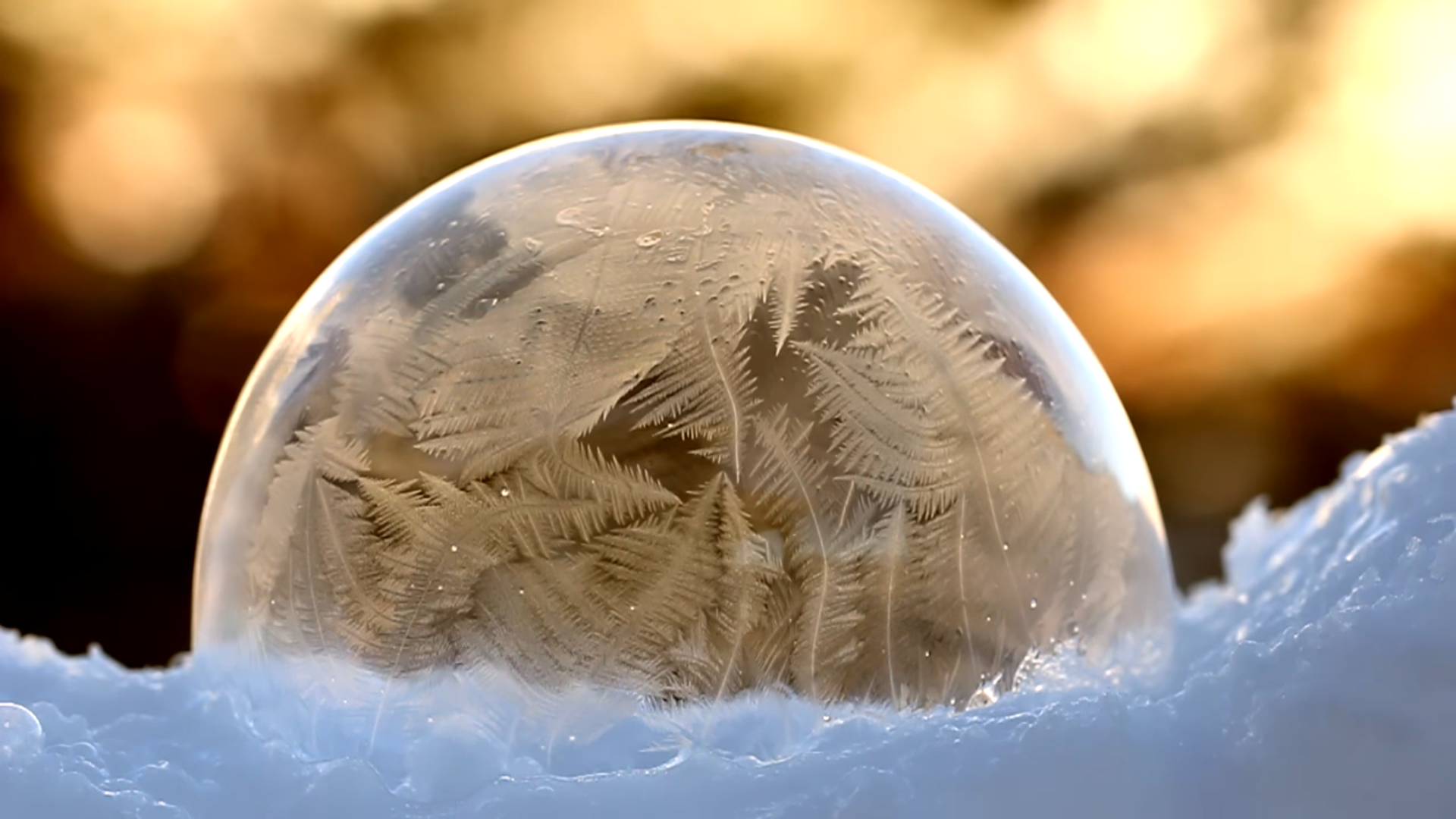 Frozen bubble with frost patterns on snow HD Wallpaper