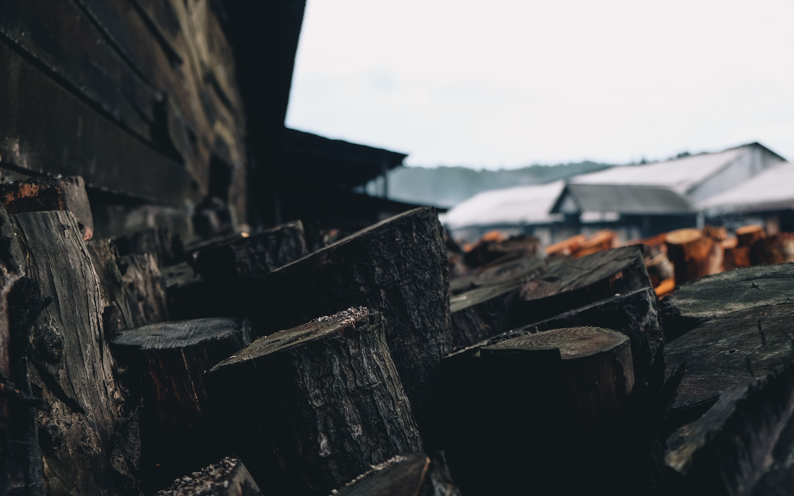 Pile of dark wood logs outdoors HD Wallpaper
