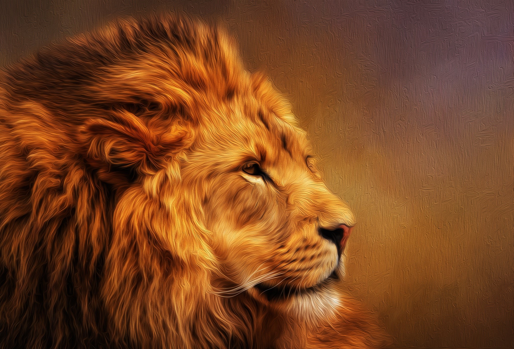 Lion's Majestic Portrait HD Wallpaper