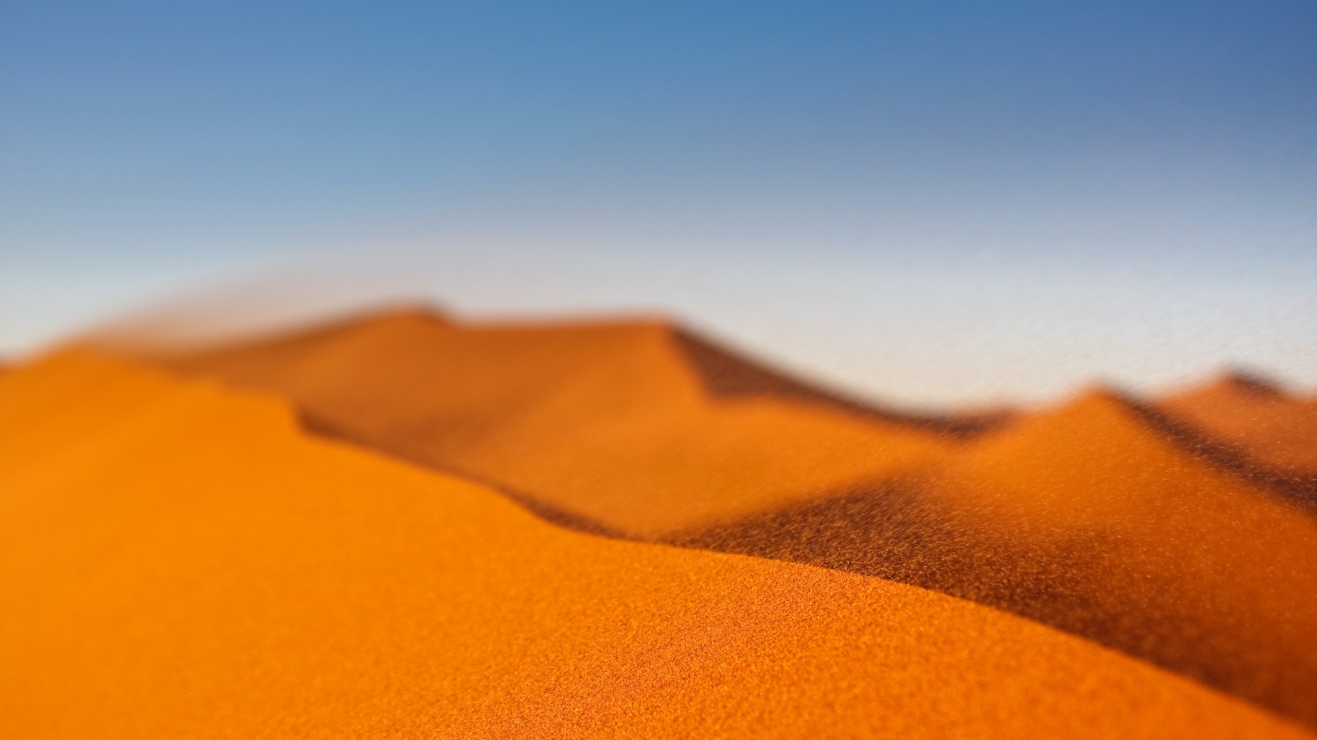 Desert sand dunes under a clear blue sky HD Wallpaper