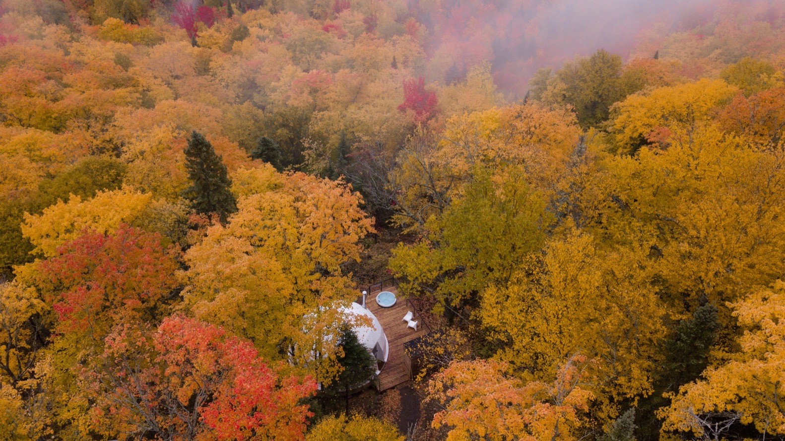 Aerial view of a dome glamping site in autumn forest HD Wallpaper