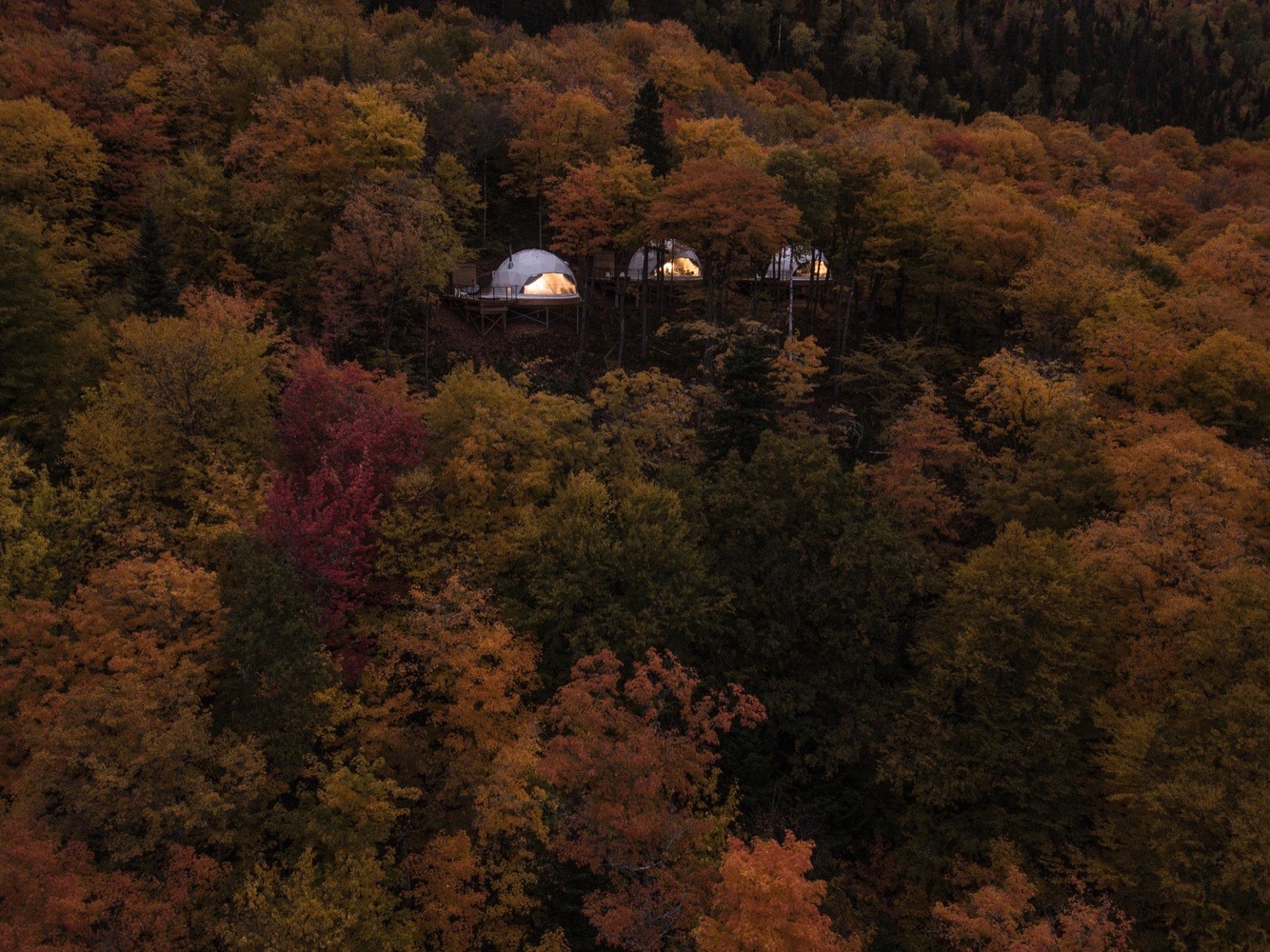 Dome-shaped cabins nestled in an autumn forest HD Wallpaper