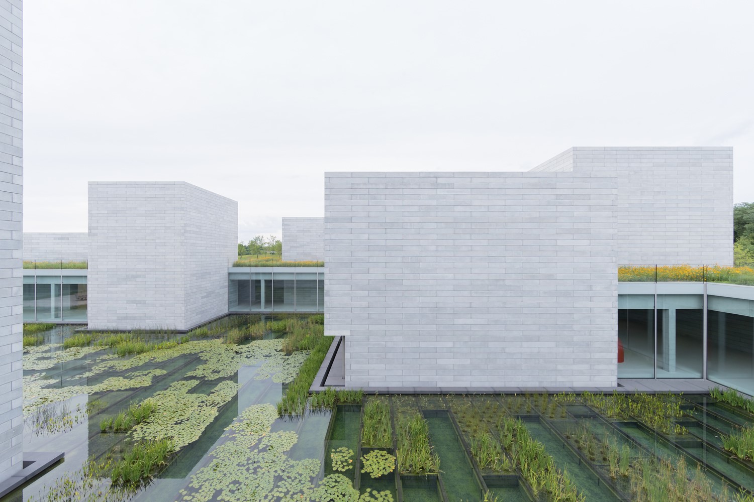Modern architecture with water features and greenery HD Wallpaper