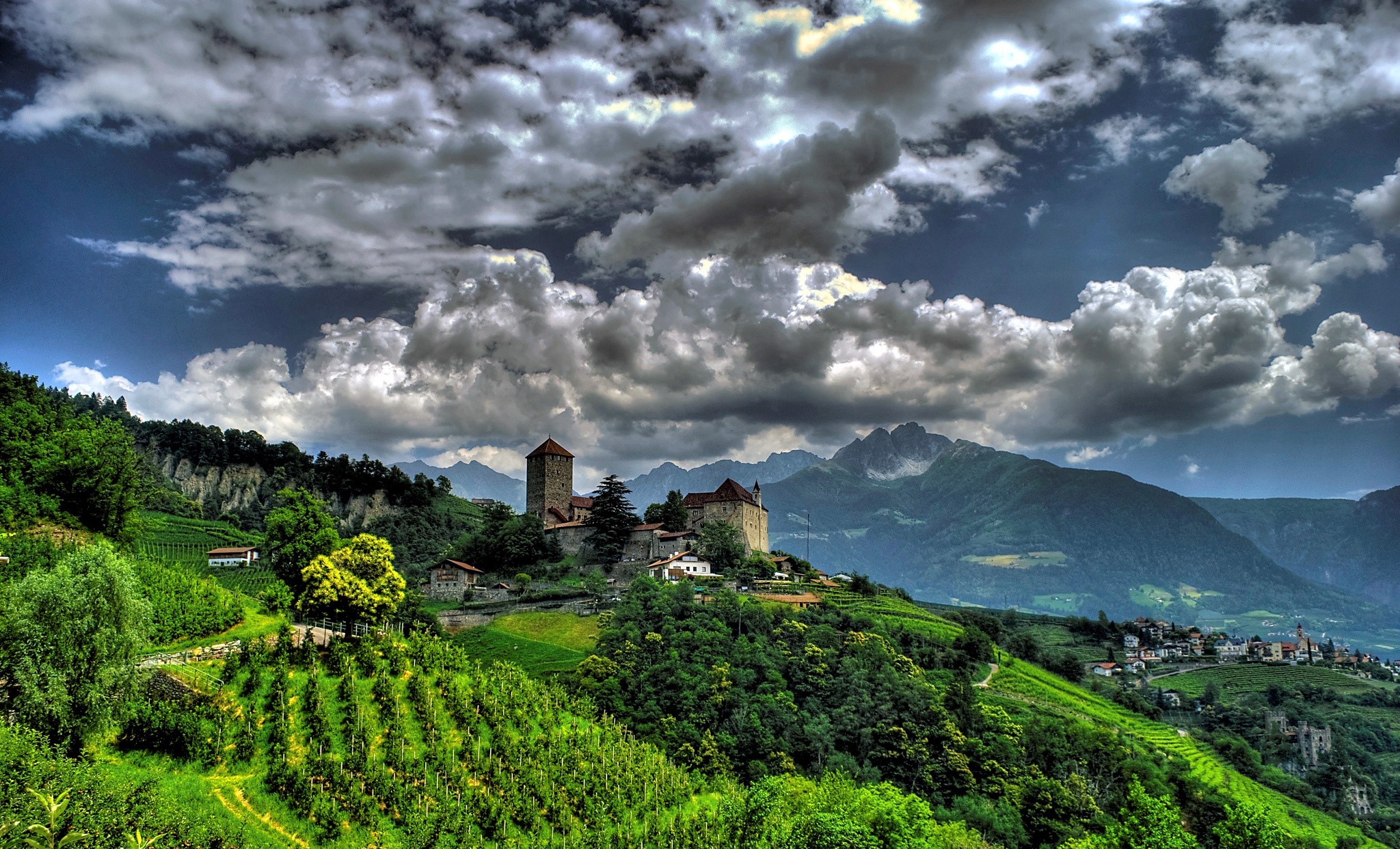 Castle on a hill with vineyards and mountains HD Wallpaper