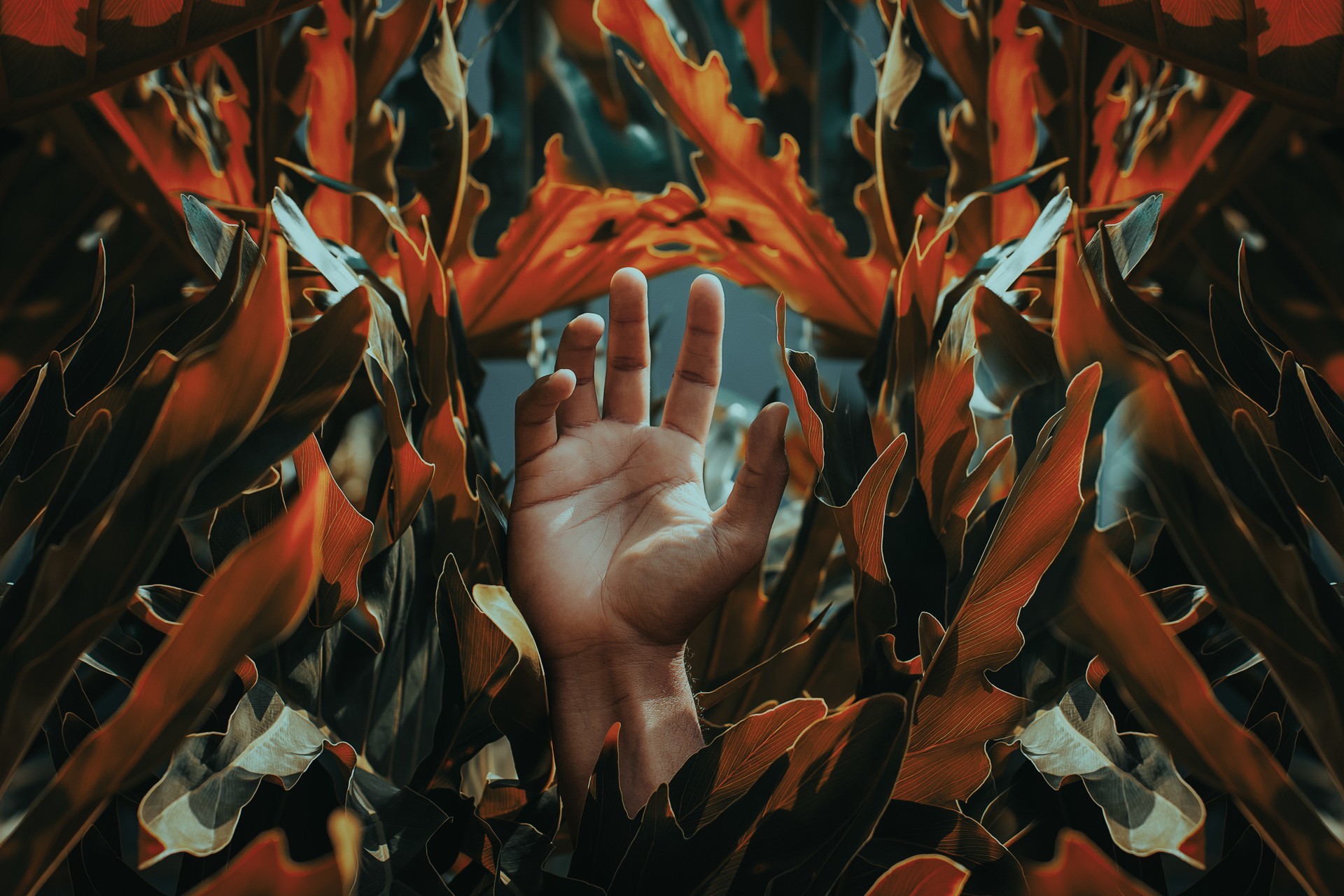 Hand emerging from colorful leaves HD Wallpaper