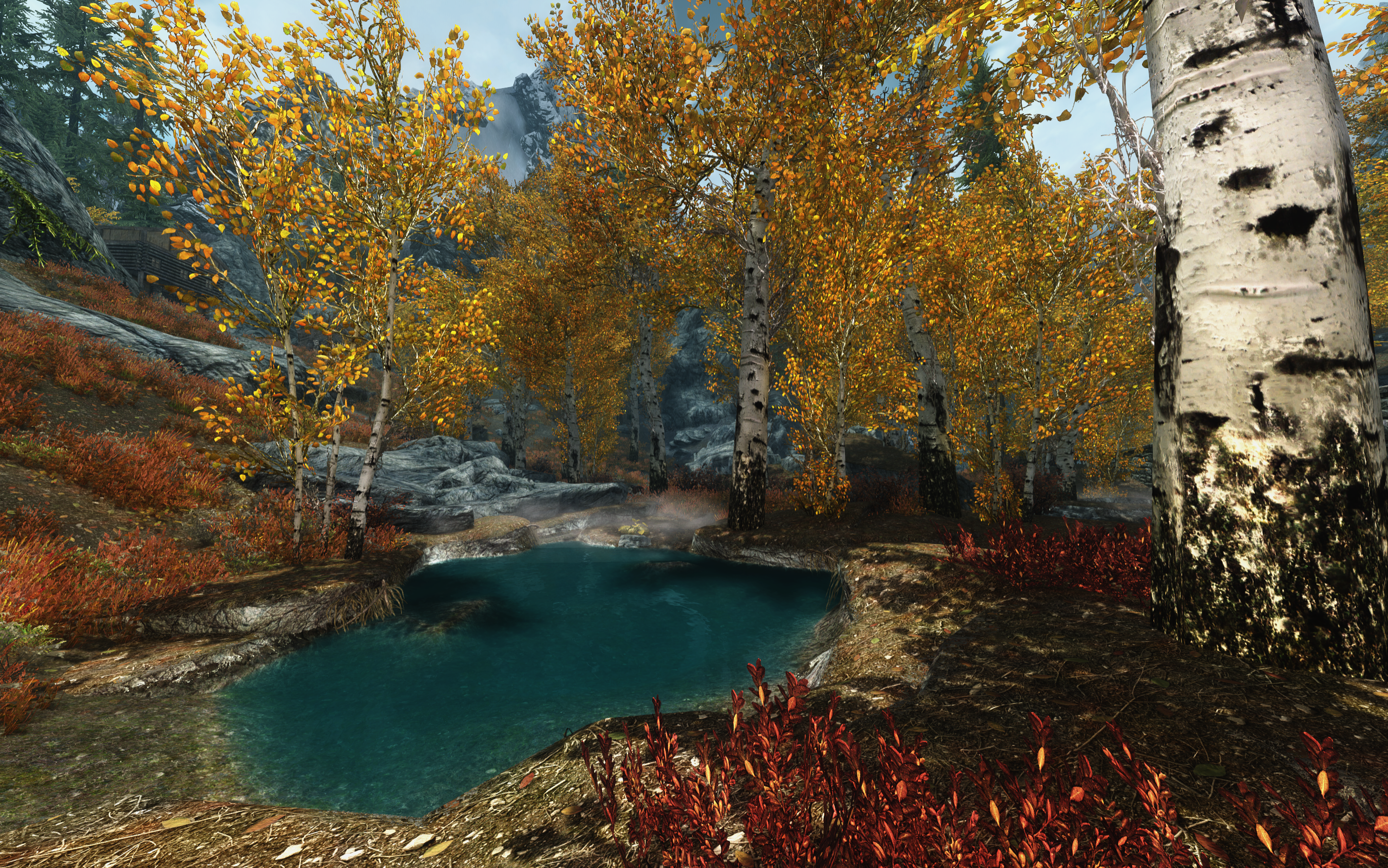 The Elder Scrolls V: Skyrim screenshot of autumn forest and pond HD Wallpaper