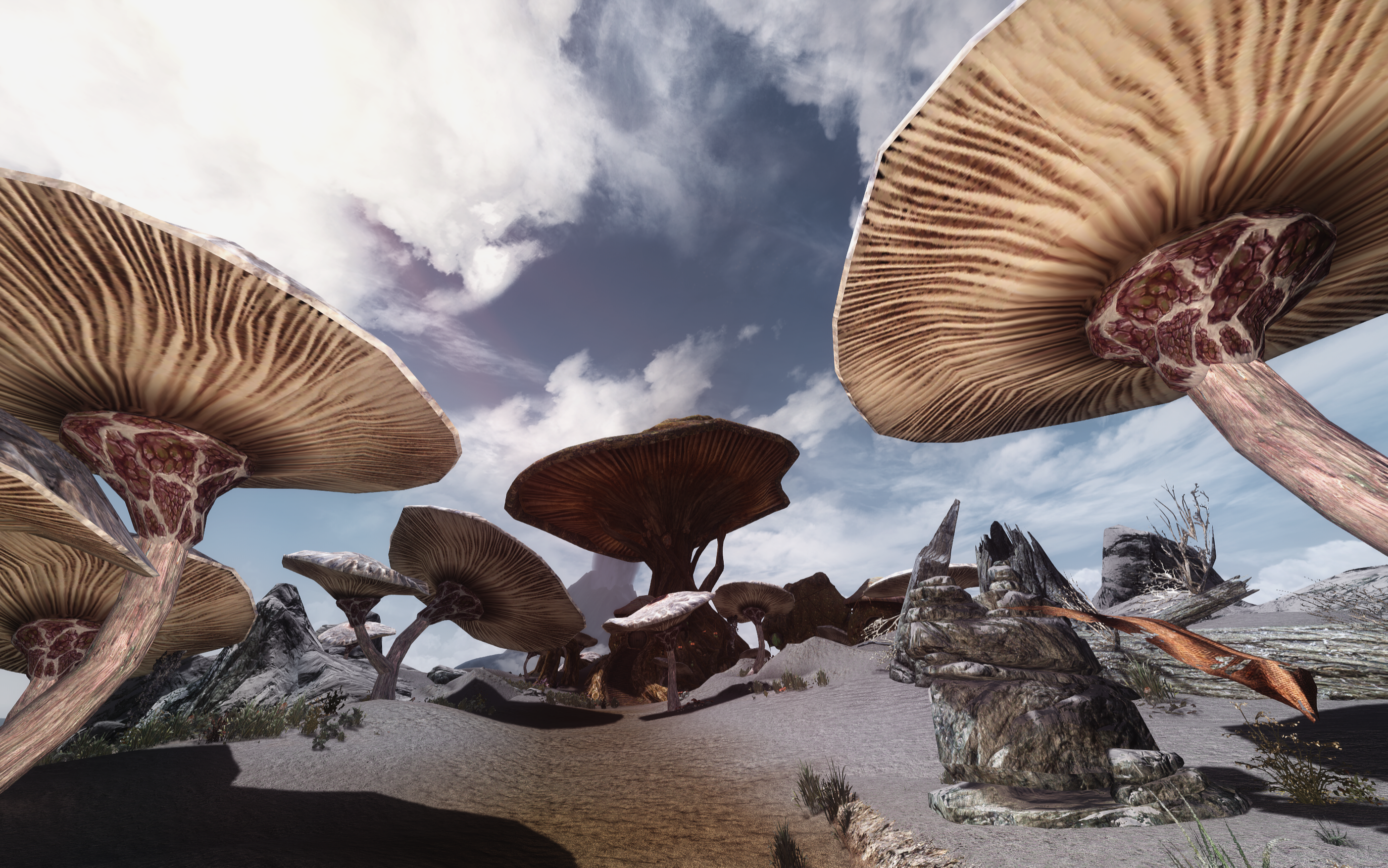 The Elder Scrolls V: Skyrim screenshot with giant mushrooms HD Wallpaper
