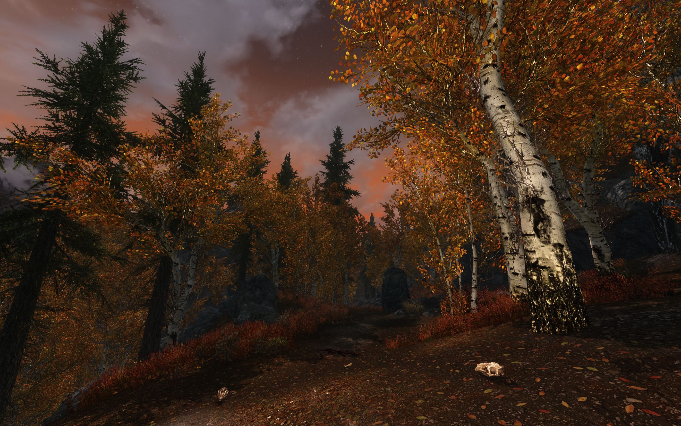 The Elder Scrolls V: Skyrim screenshot HD Wallpaper