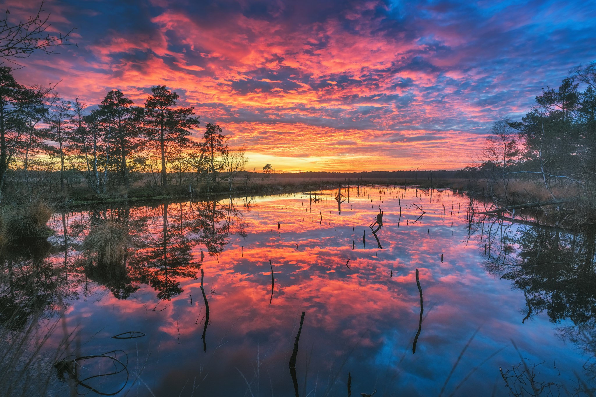 Sunrise over a lake with reflections HD Wallpaper
