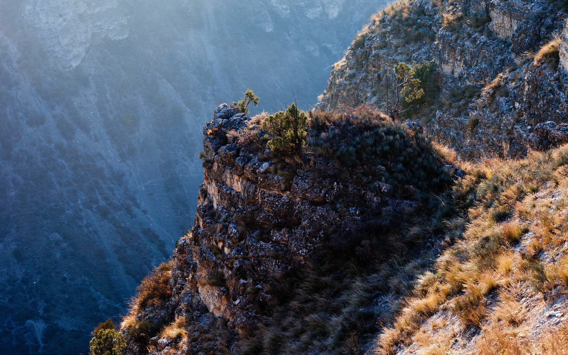 Rocky cliff face with sparse vegetation HD Wallpaper