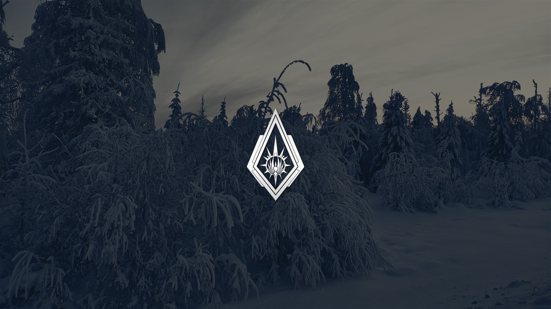 Winter forest with abstract diamond logo HD Wallpaper