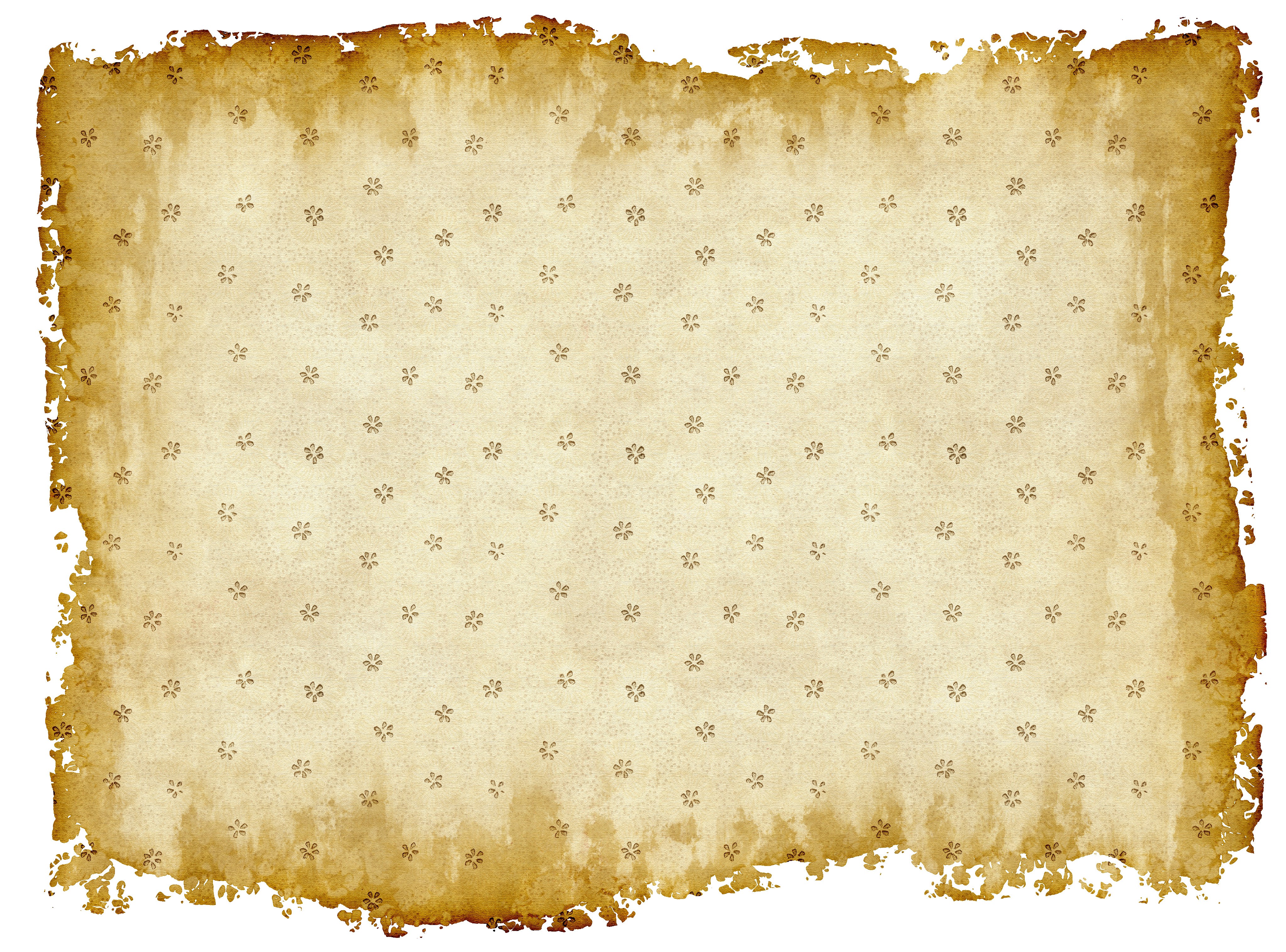 Aged paper texture with floral pattern and torn edges HD Wallpaper