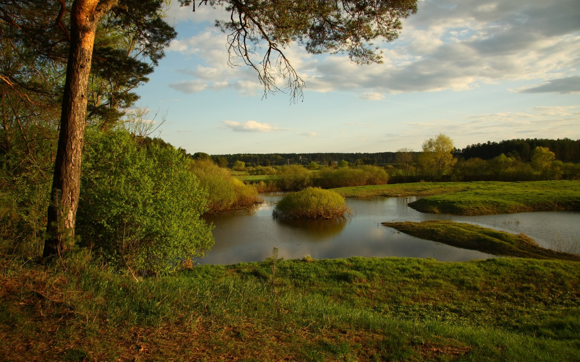 A tranquil river landscape with trees and clouds HD Wallpaper