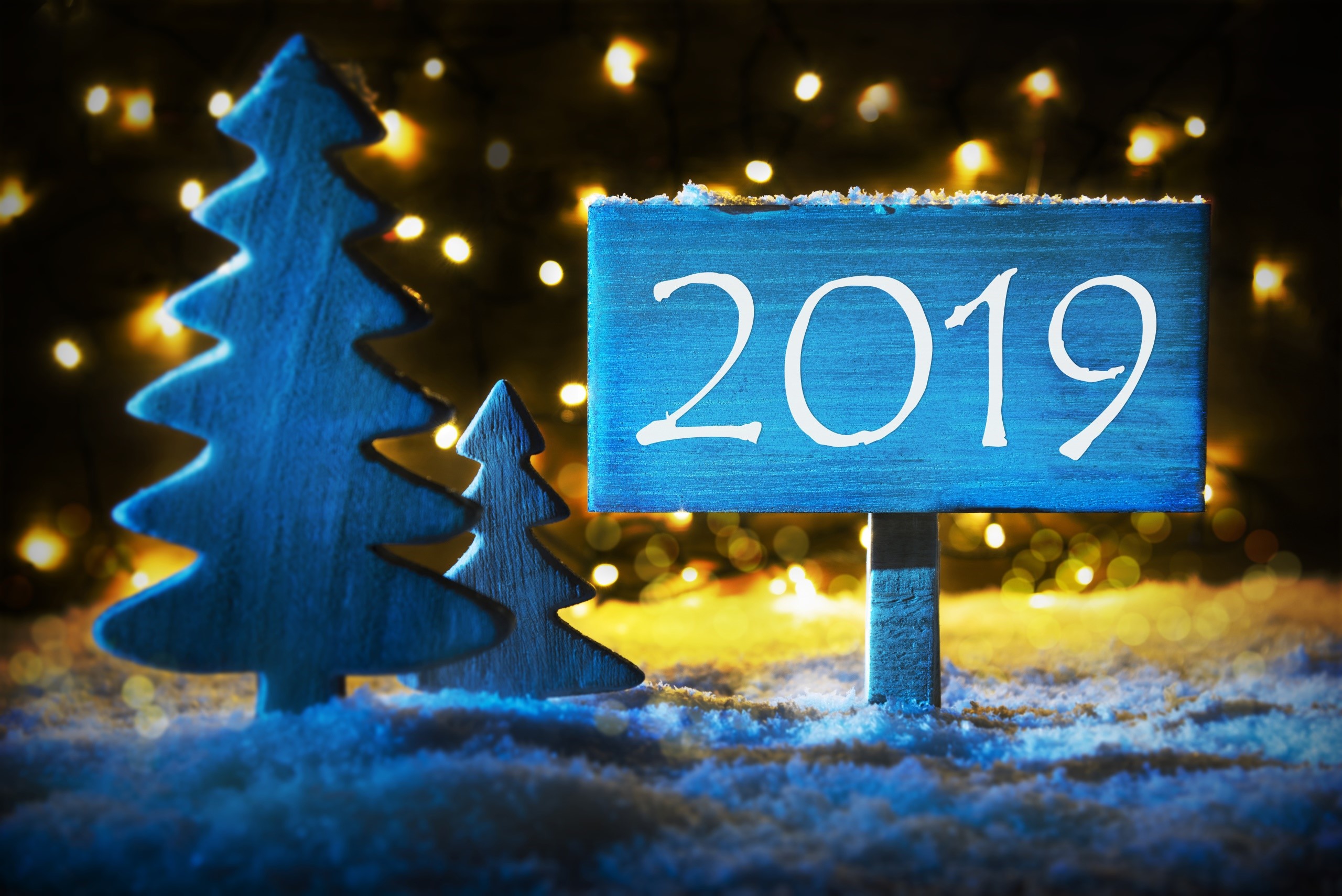 Christmas trees and 2019 sign with bokeh lights HD Wallpaper