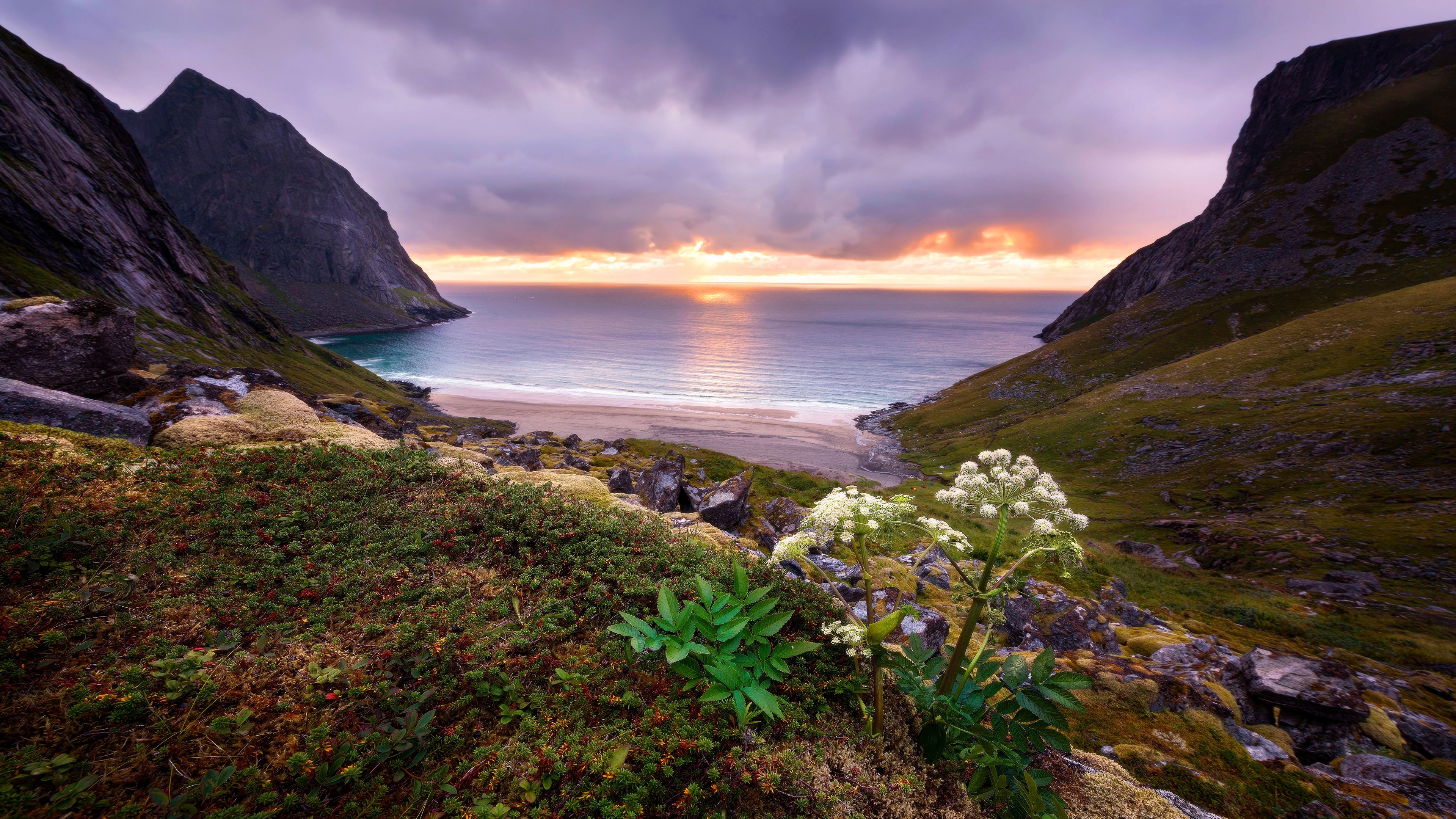 Sunset over a beach between mountains with plants HD Wallpaper