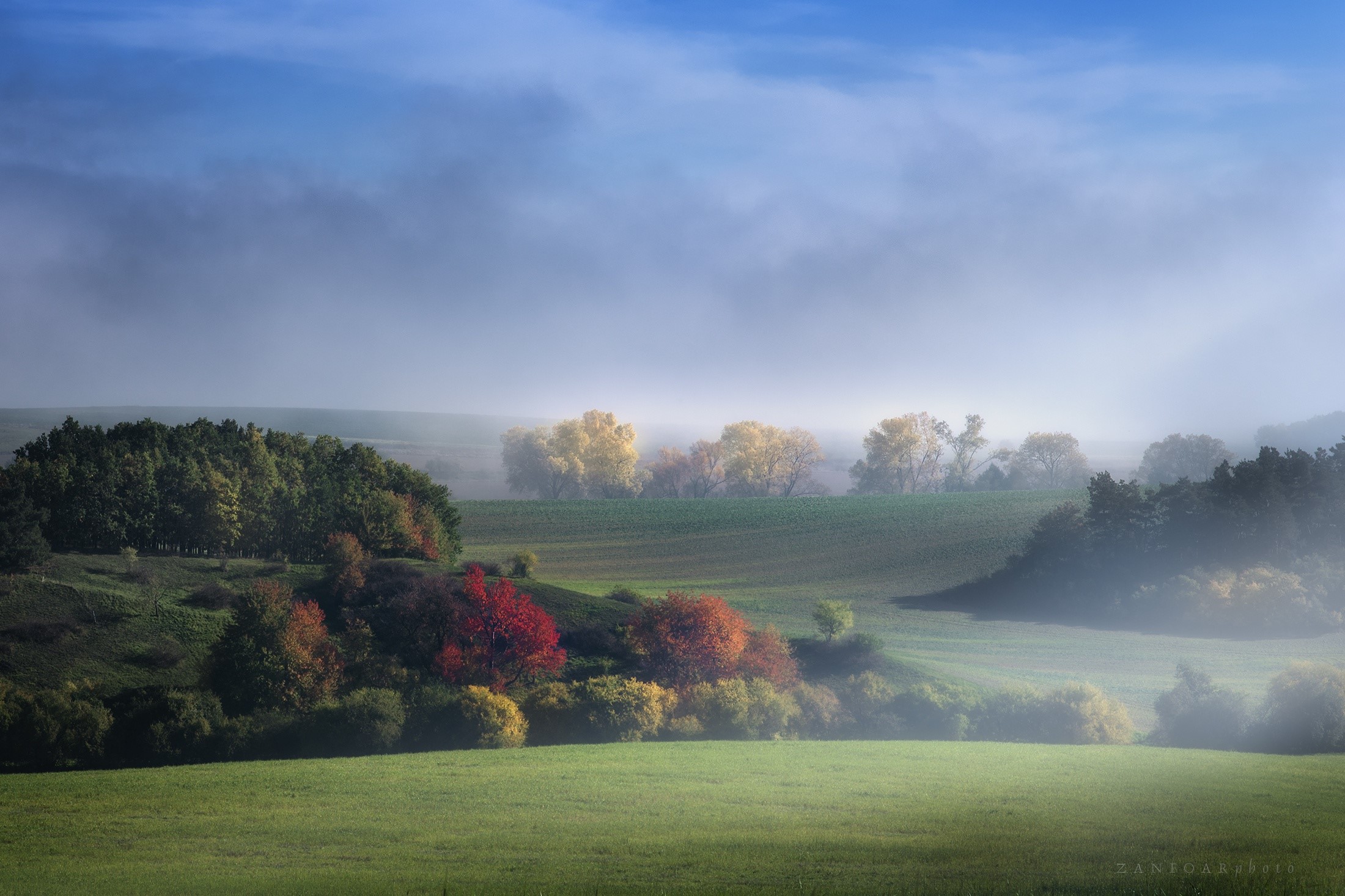 Misty landscape with autumn trees and blue sky HD Wallpaper