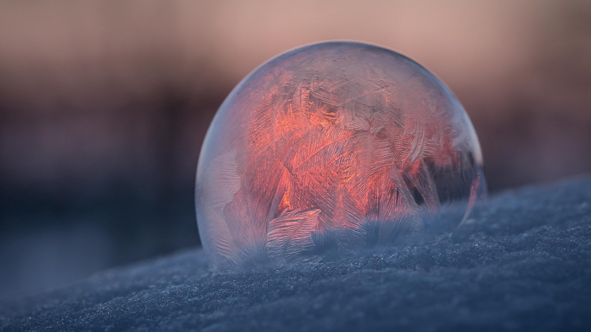 Frozen bubble with ice patterns at sunset HD Wallpaper
