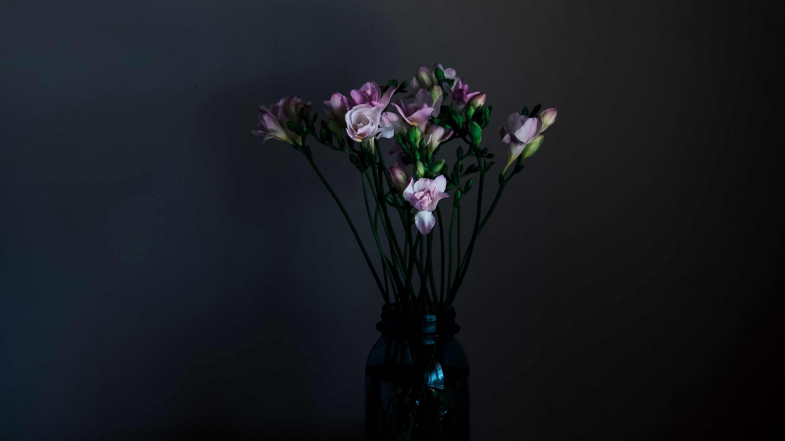 Bouquet of pink freesia flowers in a dark vase HD Wallpaper