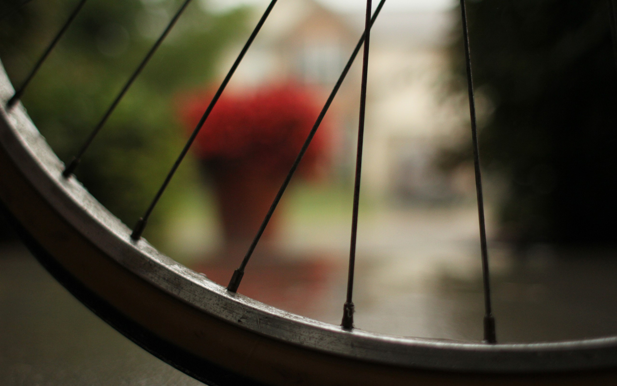 Close-up of a bicycle wheel outdoors HD Wallpaper