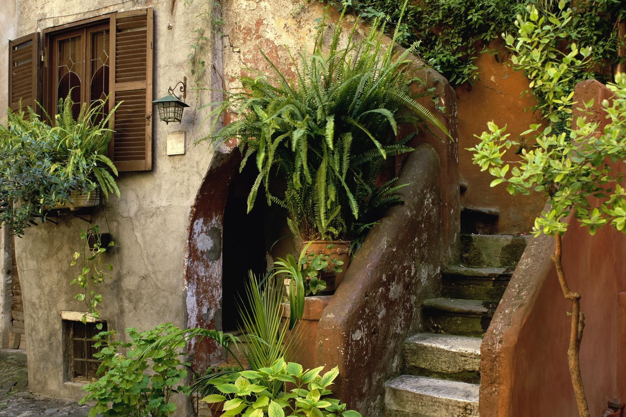 Stone stairs and potted ferns on a rustic building exterior HD Wallpaper