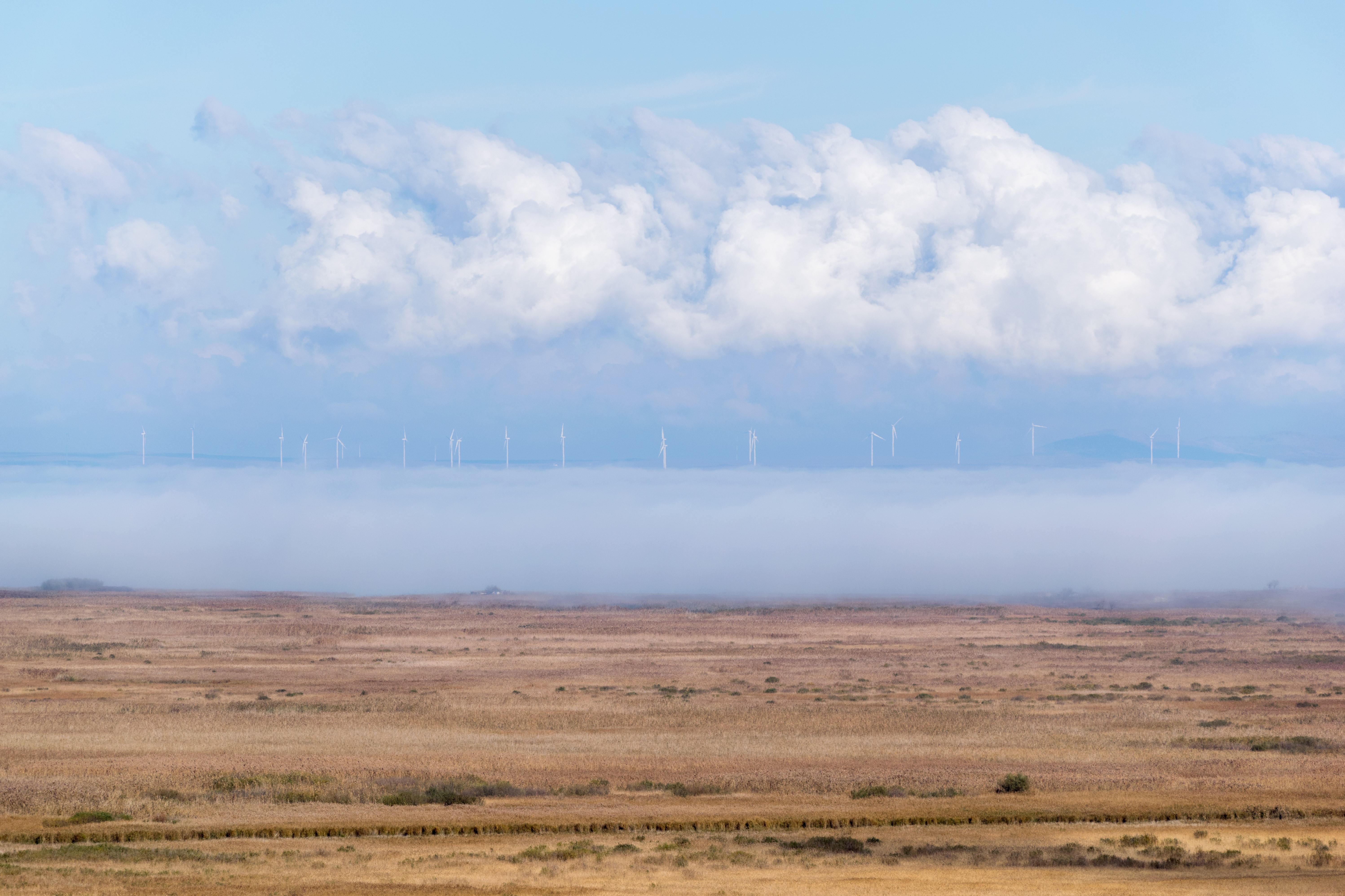 Wind turbines in mist with clouds over a field HD Wallpaper