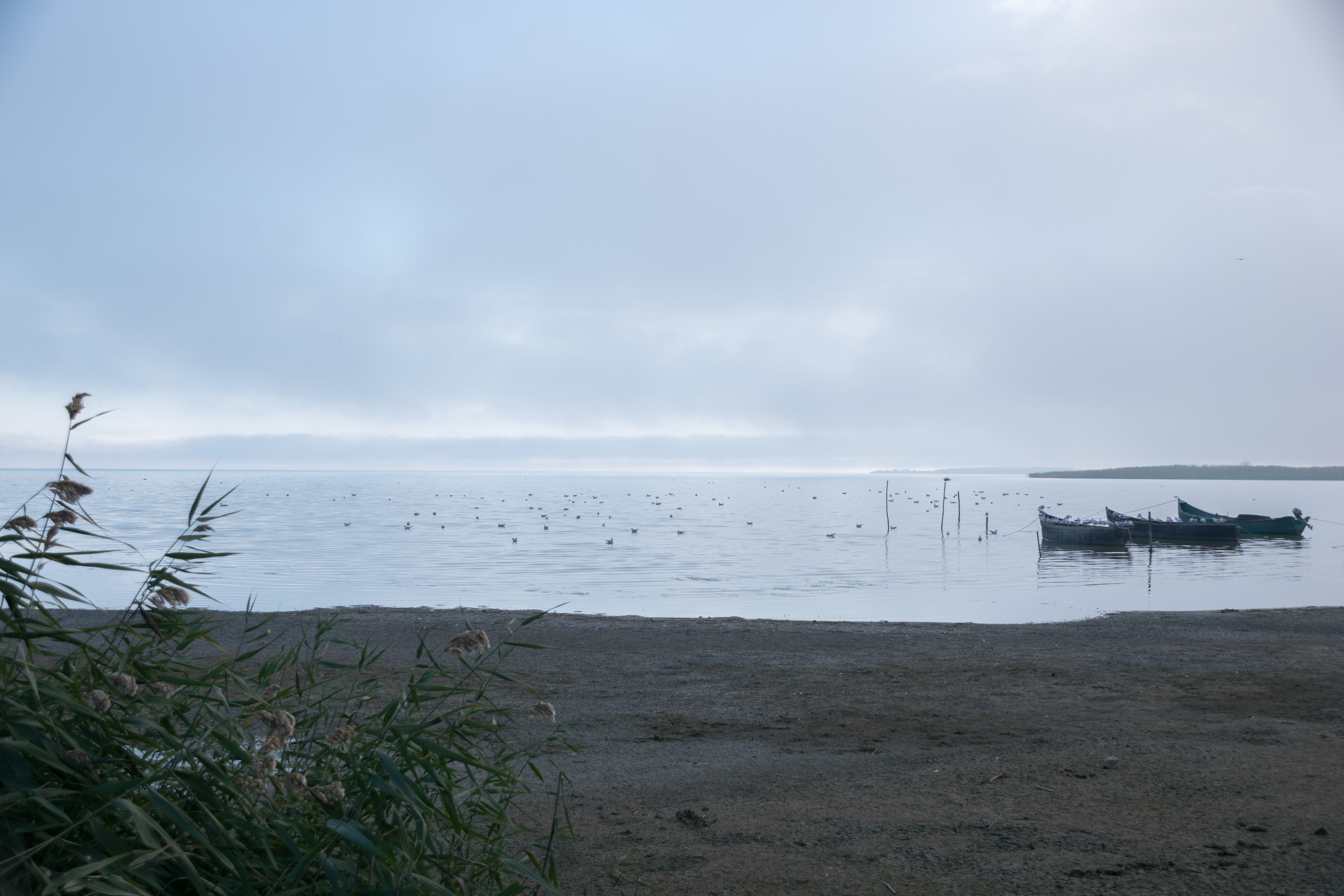 Boats and birds on a lake under cloudy sky HD Wallpaper