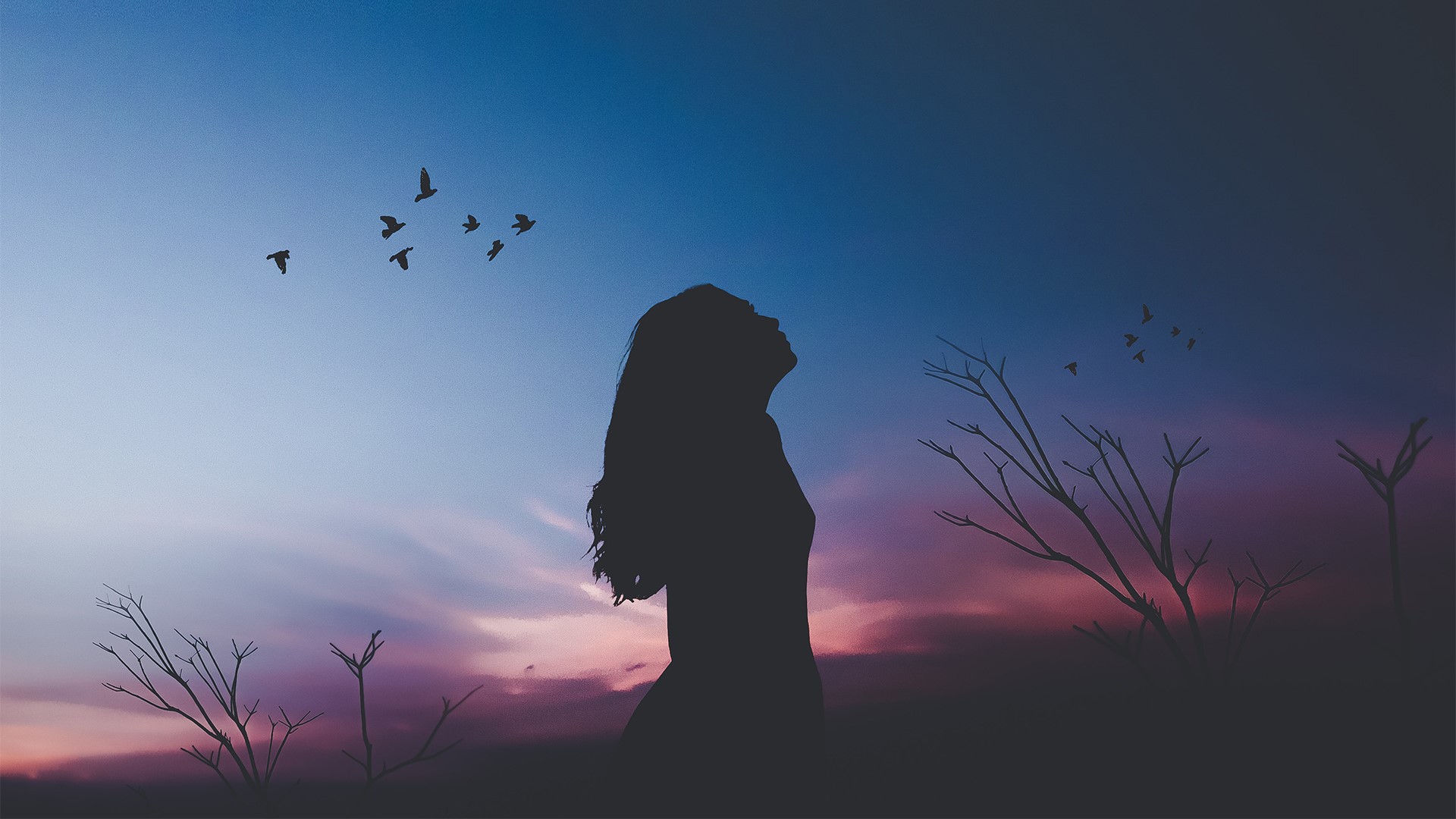 Silhouette of a woman looking up at birds at dusk HD Wallpaper