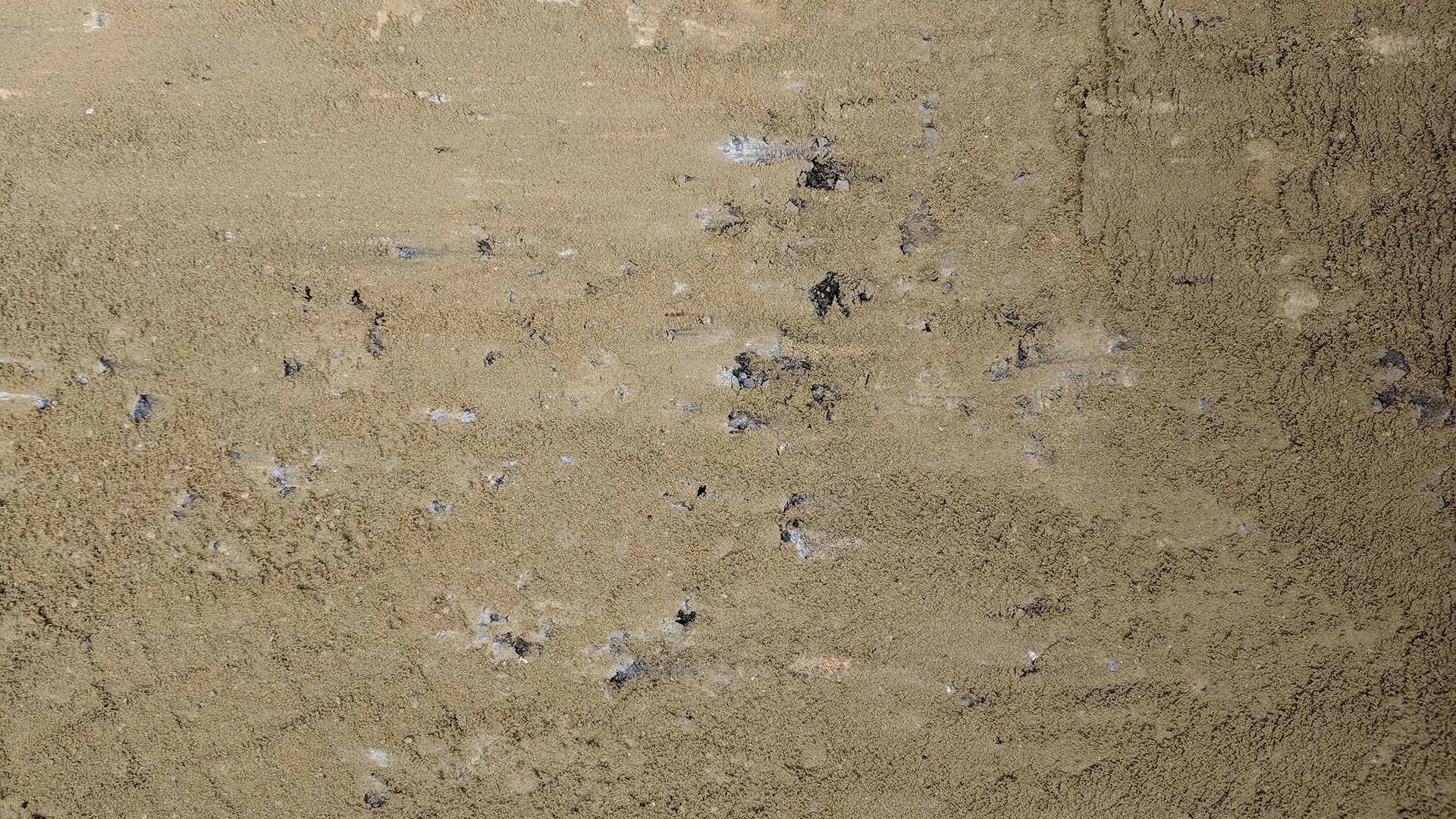 Close-up of sandy ground with debris HD Wallpaper