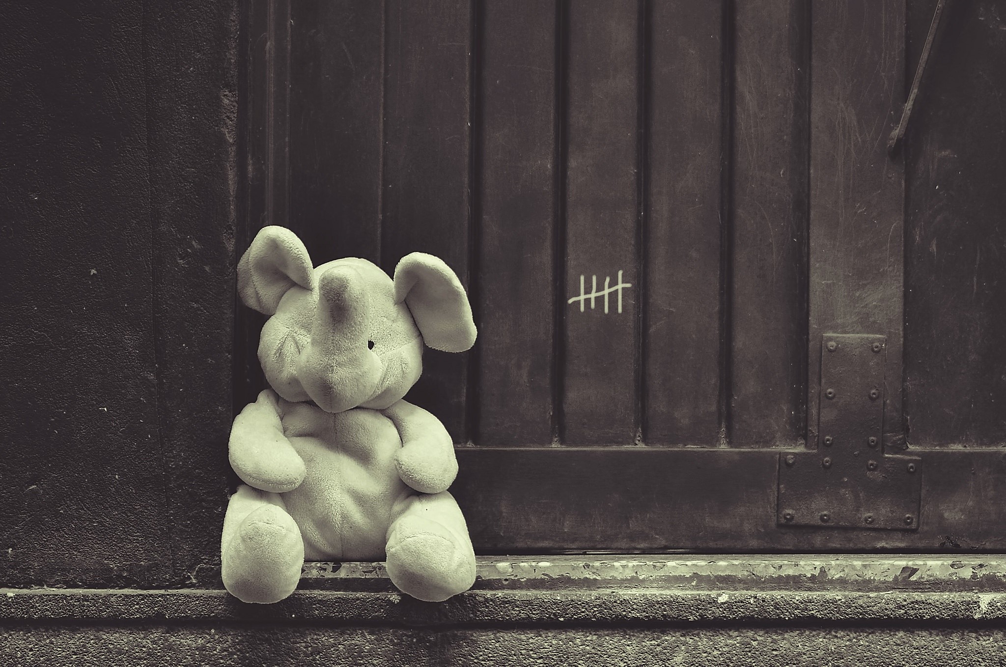 Stuffed elephant sitting by a door with tally marks HD Wallpaper
