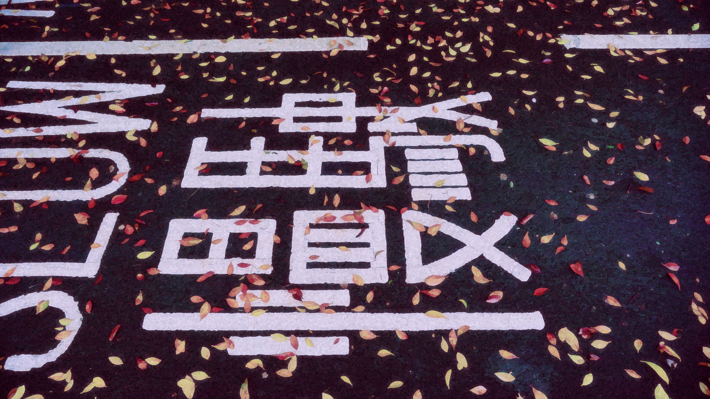 Kanji characters on a road with fallen leaves HD Wallpaper