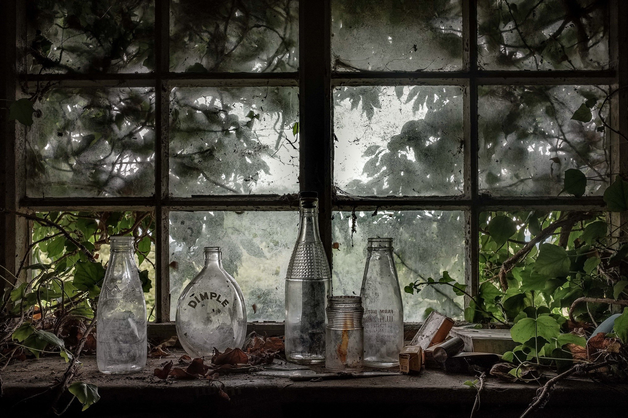 Still life of bottles on a windowsill with plants HD Wallpaper