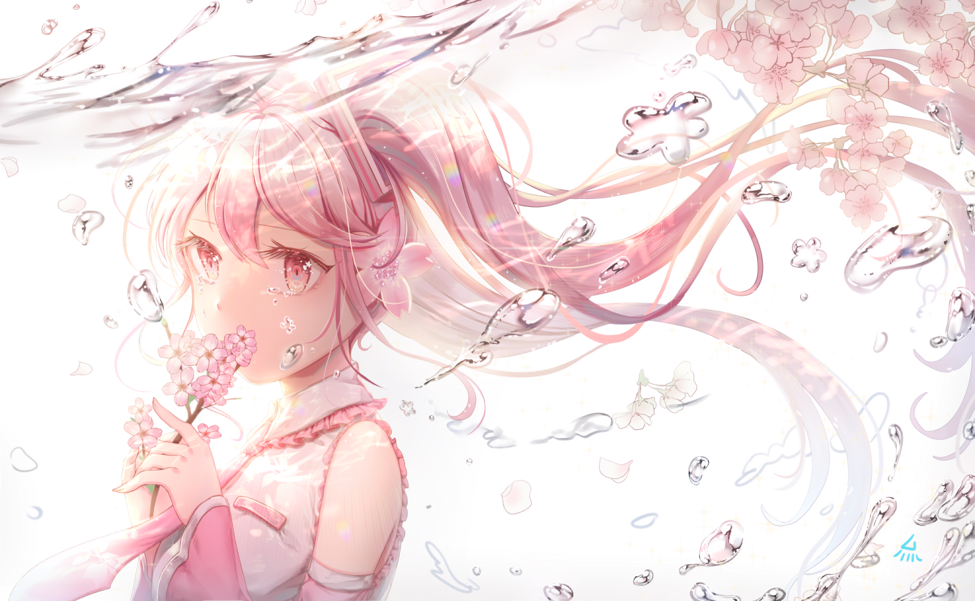 Anime girl with pink hair holding cherry blossoms underwater HD Wallpaper