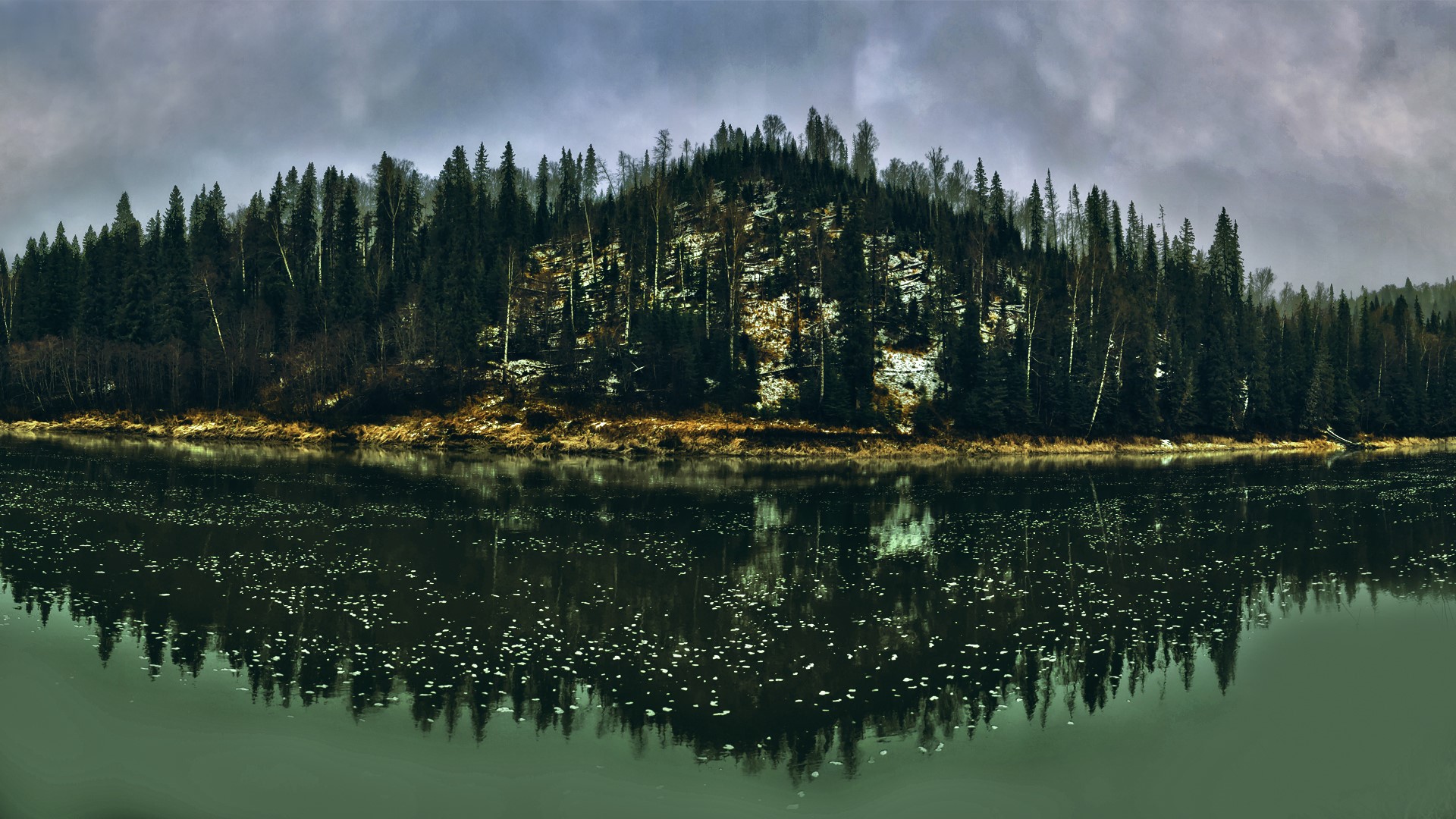 Panoramic view of a forest on a hill reflected in a lake HD Wallpaper