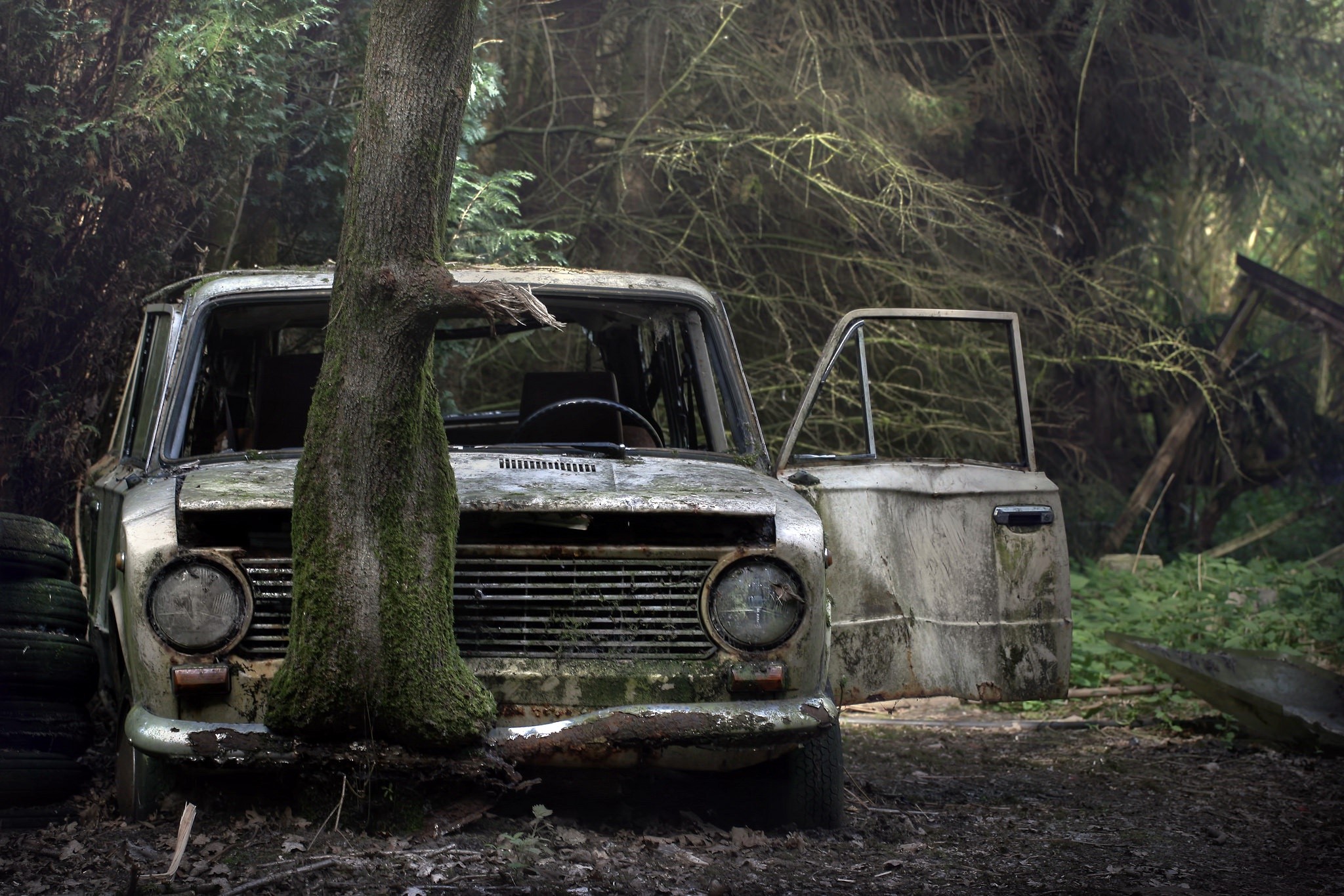 Abandoned Lada 2101 car overgrown by a tree in a forest HD Wallpaper