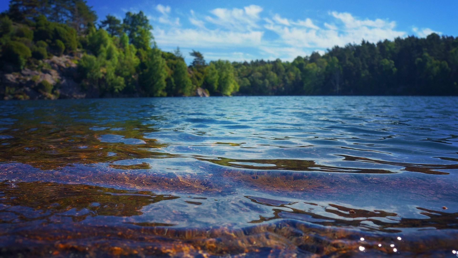 Clear lake water with forest and blue sky HD Wallpaper