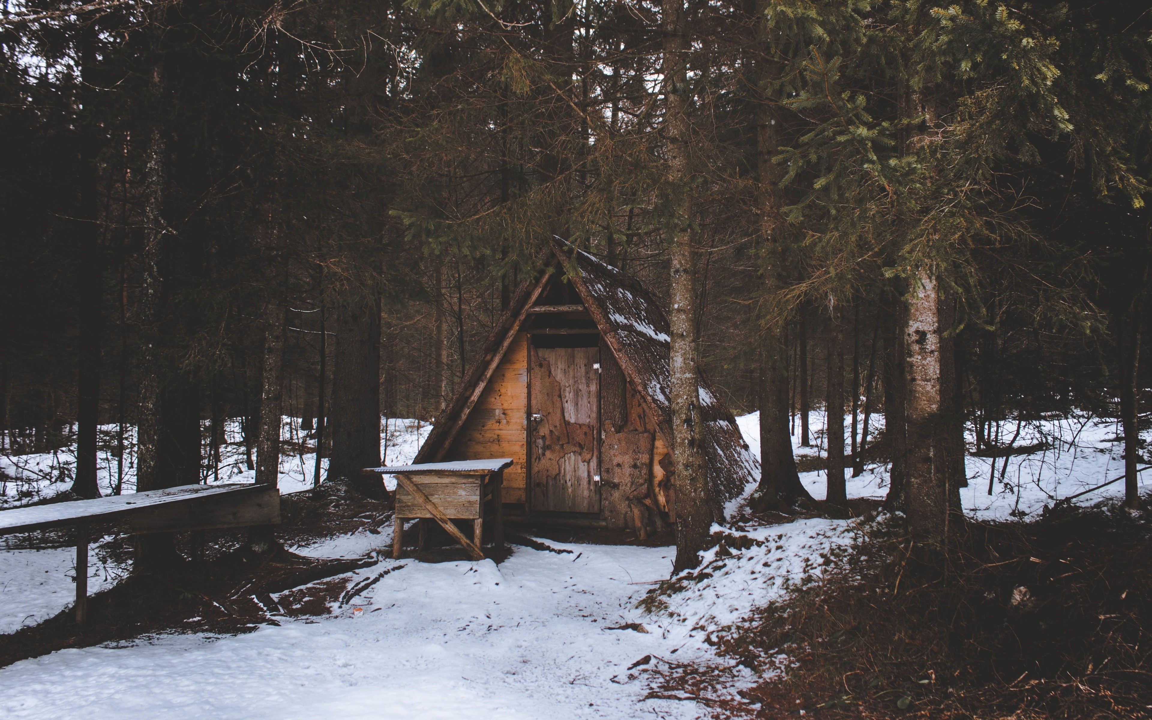 Wooden cabin in a snowy forest HD Wallpaper
