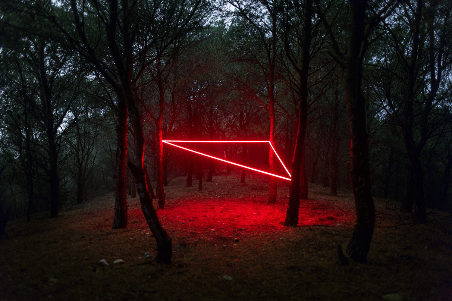 Red neon triangle in a dark forest HD Wallpaper