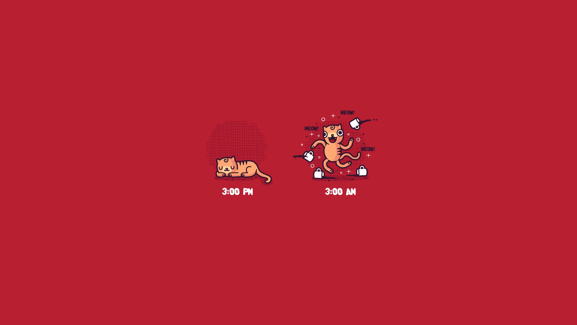 Cats at 3 PM and 3 AM with coffee cups HD Wallpaper