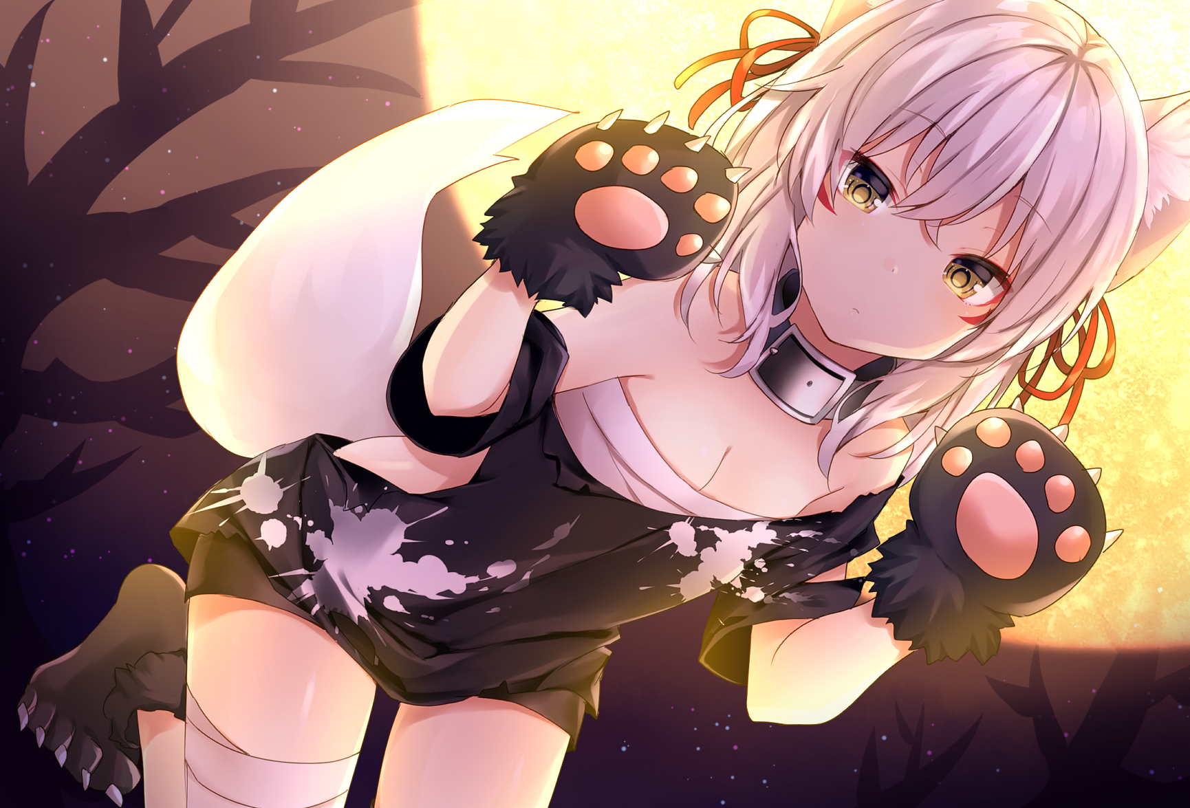 Wolf girl with white hair and yellow eyes HD Wallpaper
