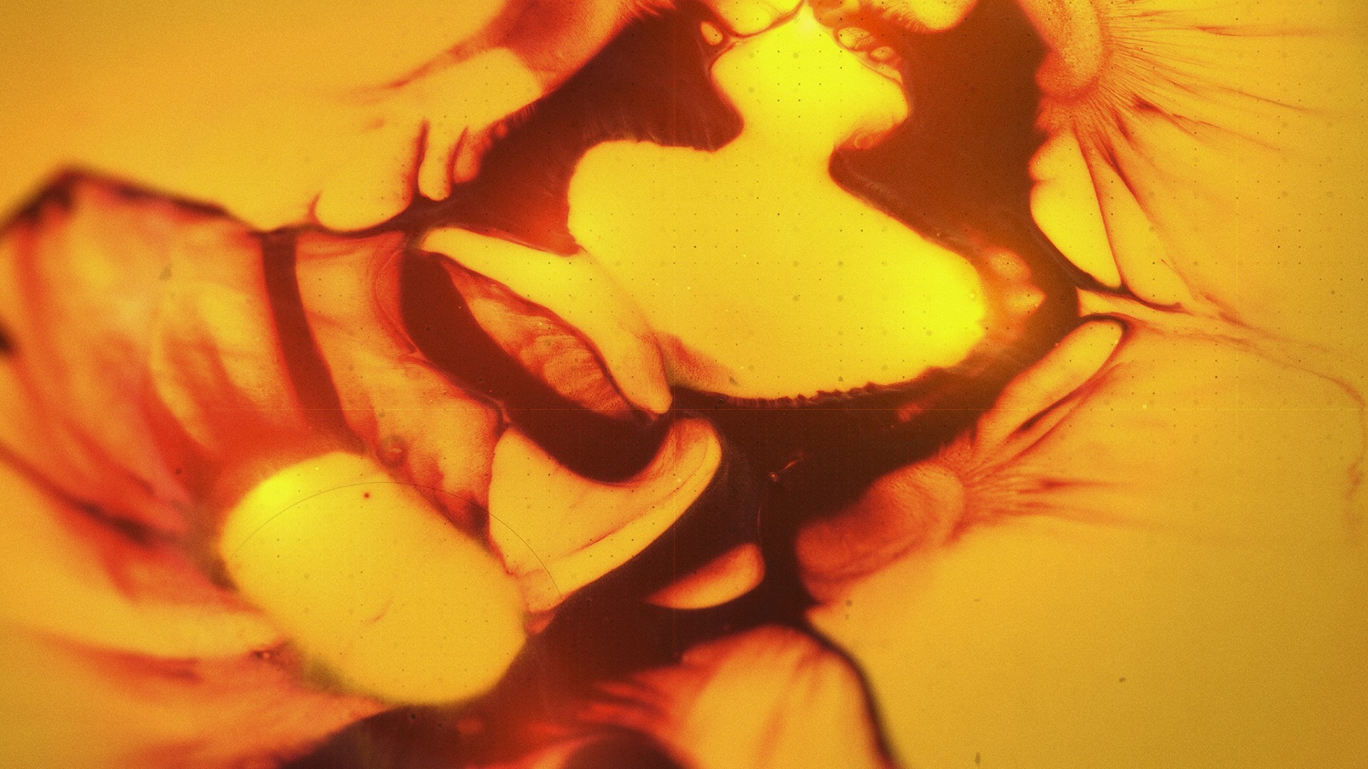 Abstract yellow and orange fluid art HD Wallpaper