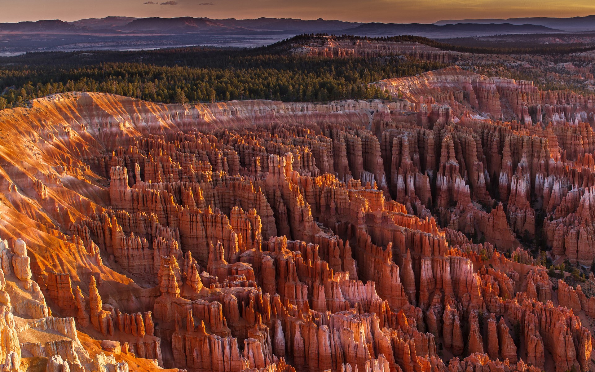 Bryce Canyon National Park Hoodoos at Sunset HD Wallpaper