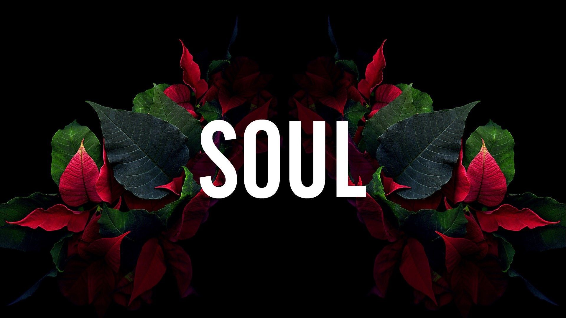 SOUL text with poinsettia flowers HD Wallpaper