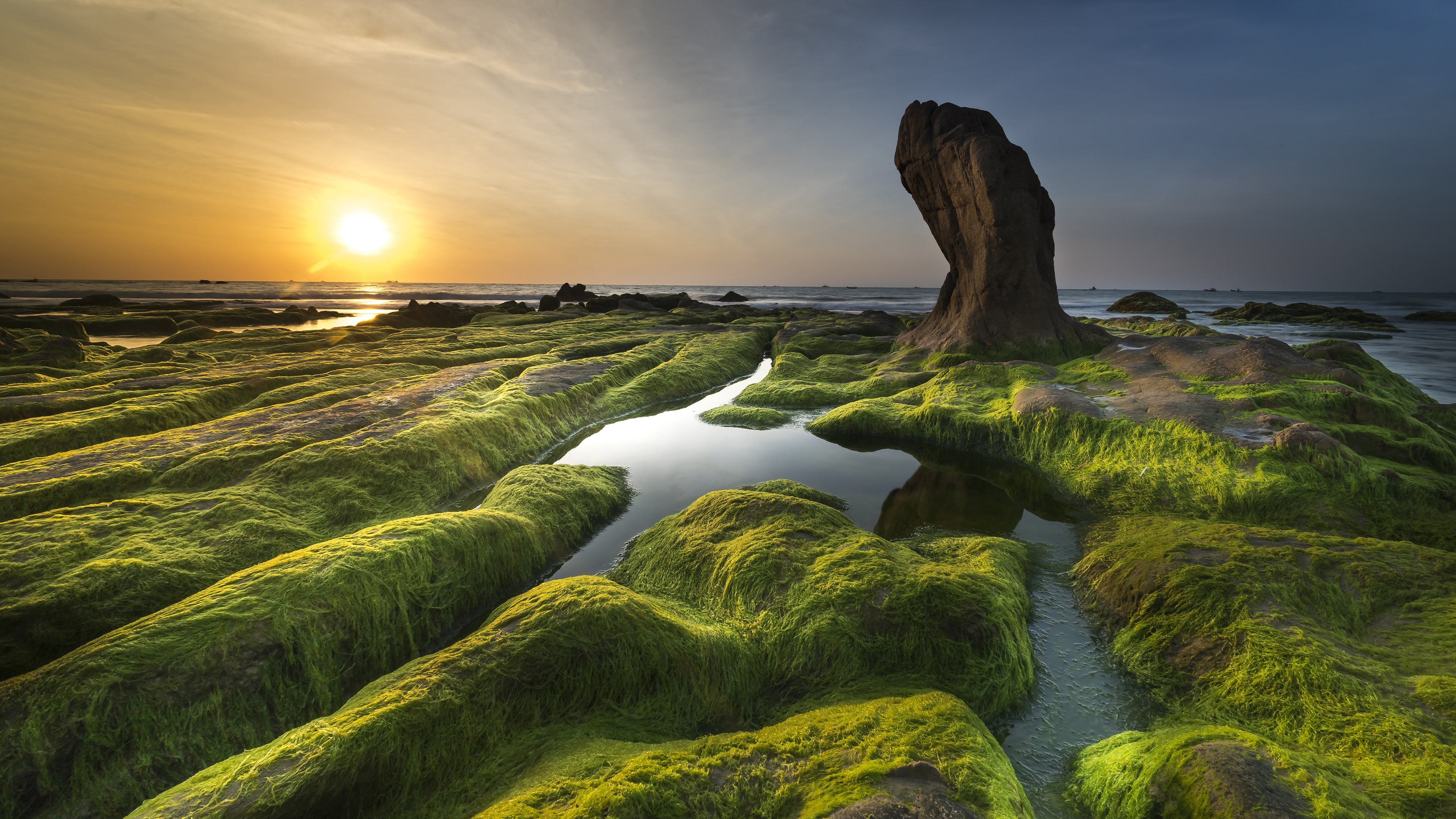 Mossy rocks at sunset HD Wallpaper
