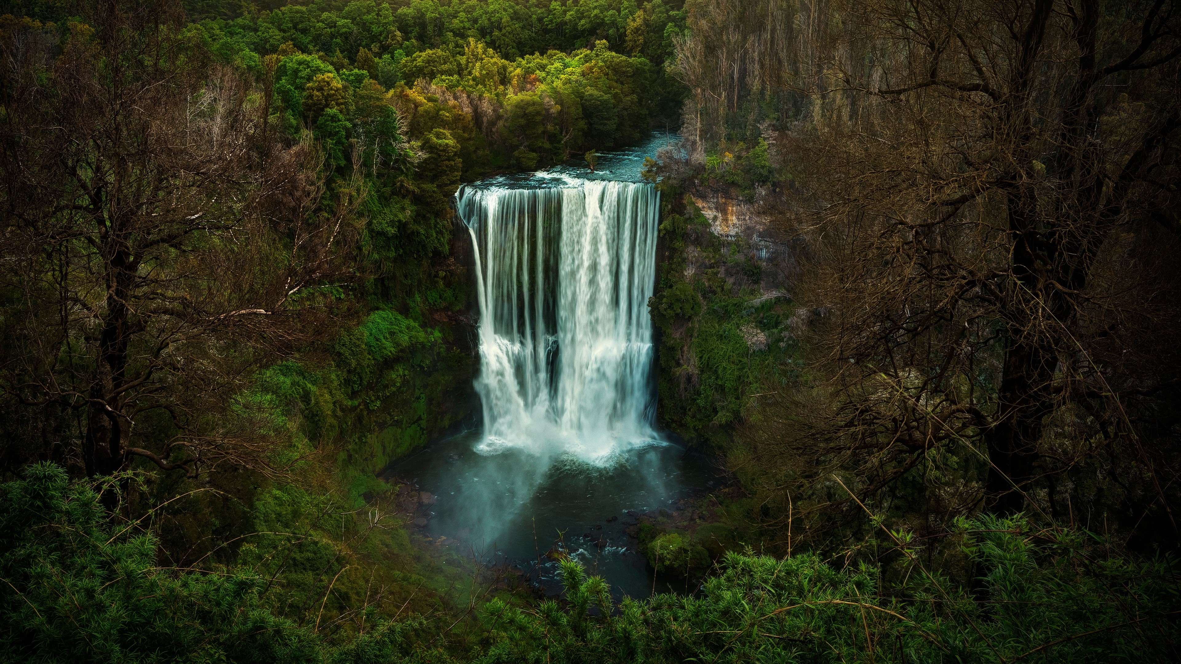 Waterfall in a forest landscape HD Wallpaper