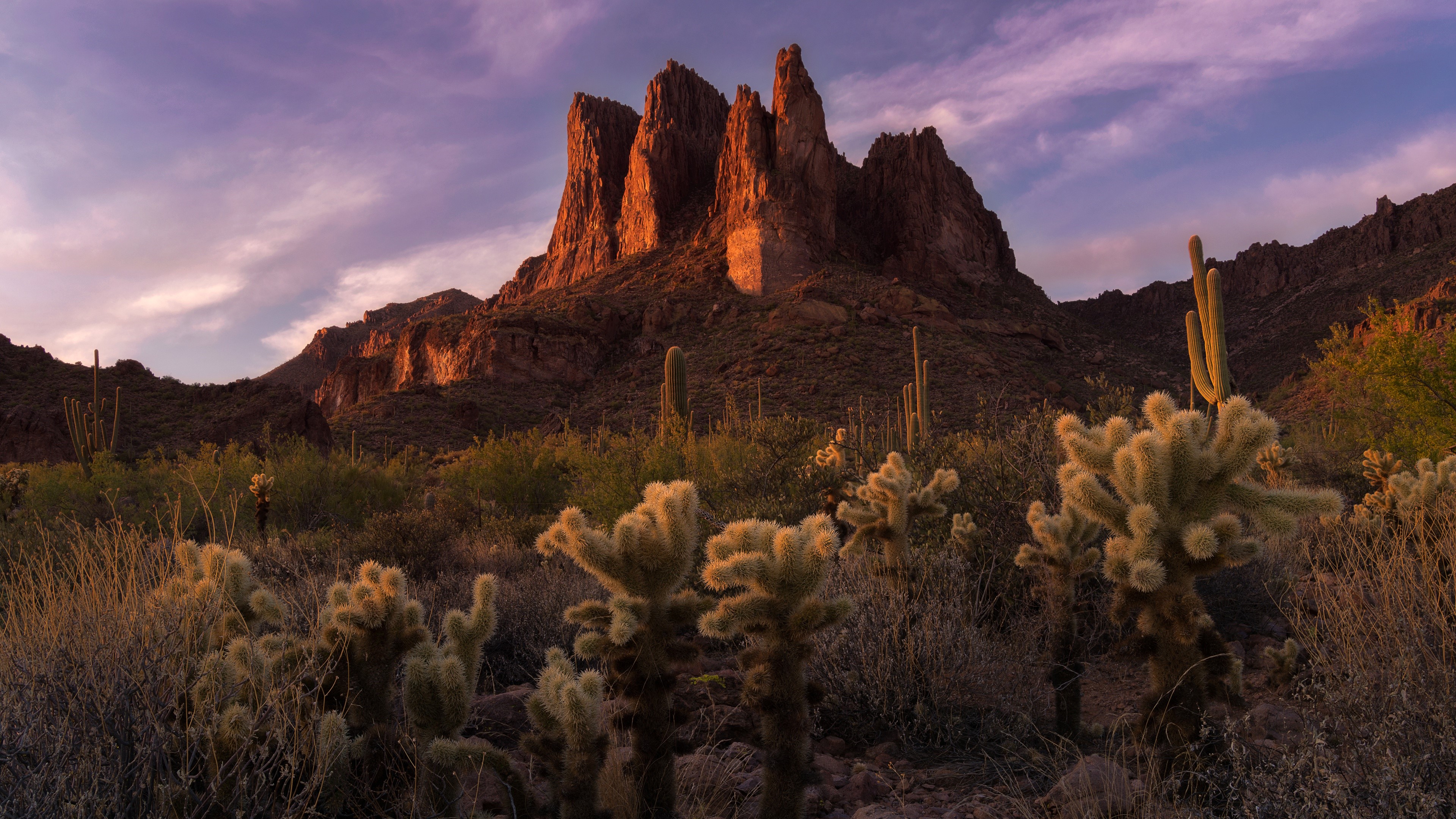 Desert landscape with mountains and cacti at sunset HD Wallpaper