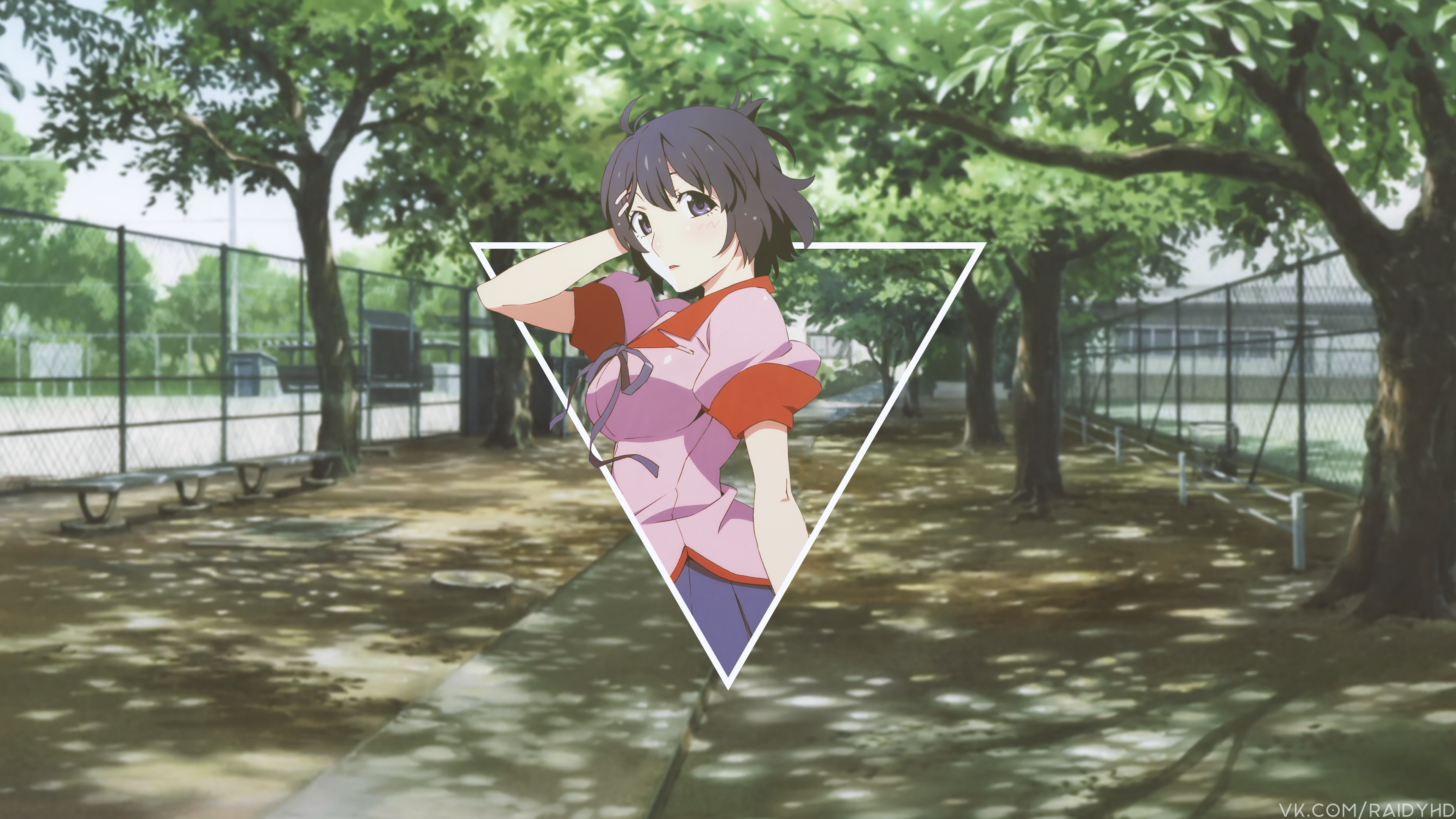 Hanekawa Tsubasa from Monogatari Series HD Wallpaper
