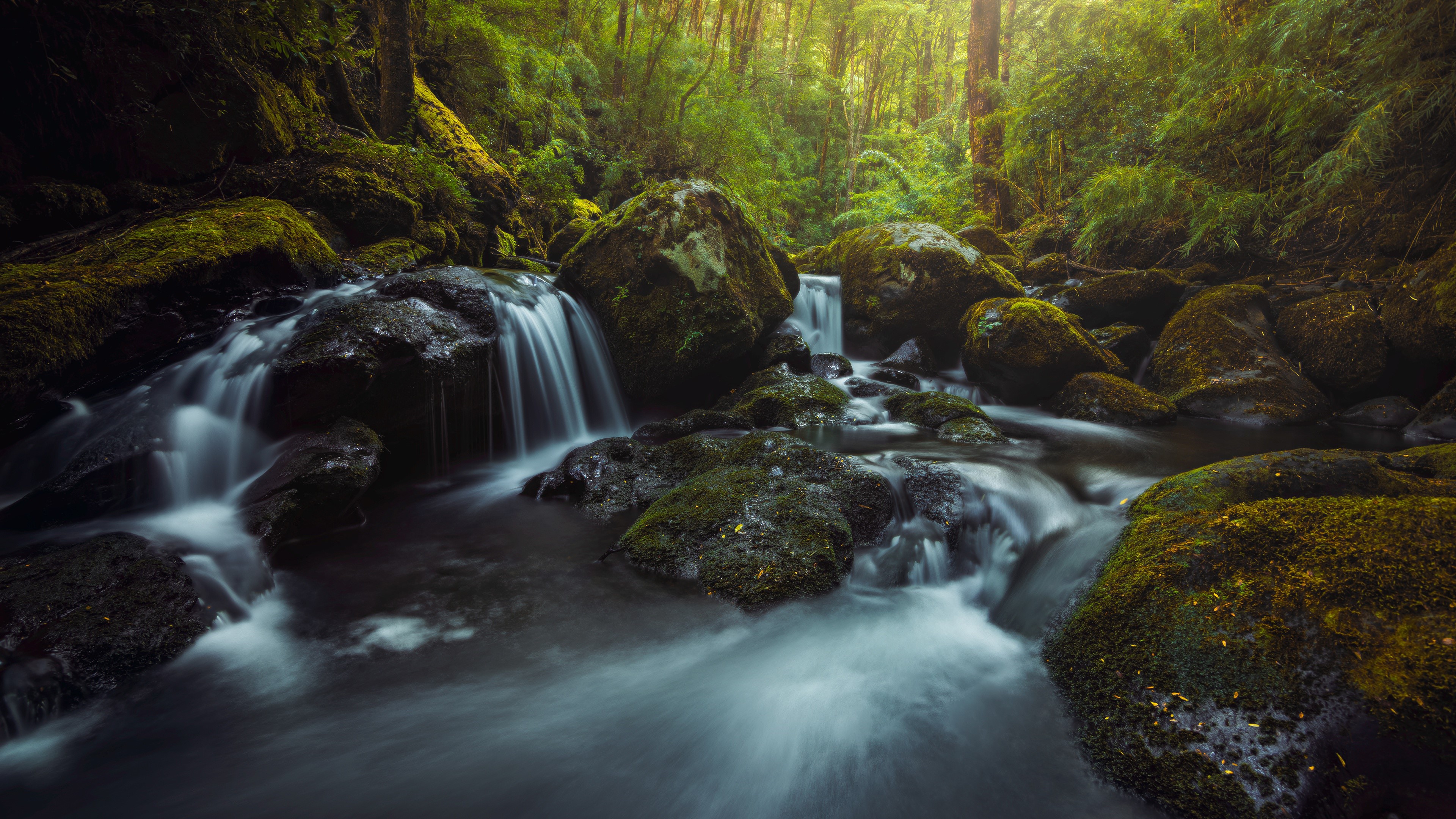 Mossy rocks and waterfall in a forest HD Wallpaper