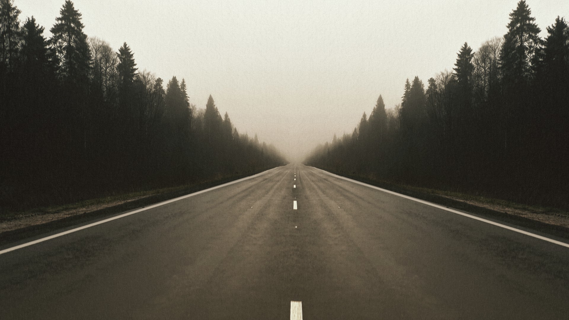 Road through a misty forest HD Wallpaper